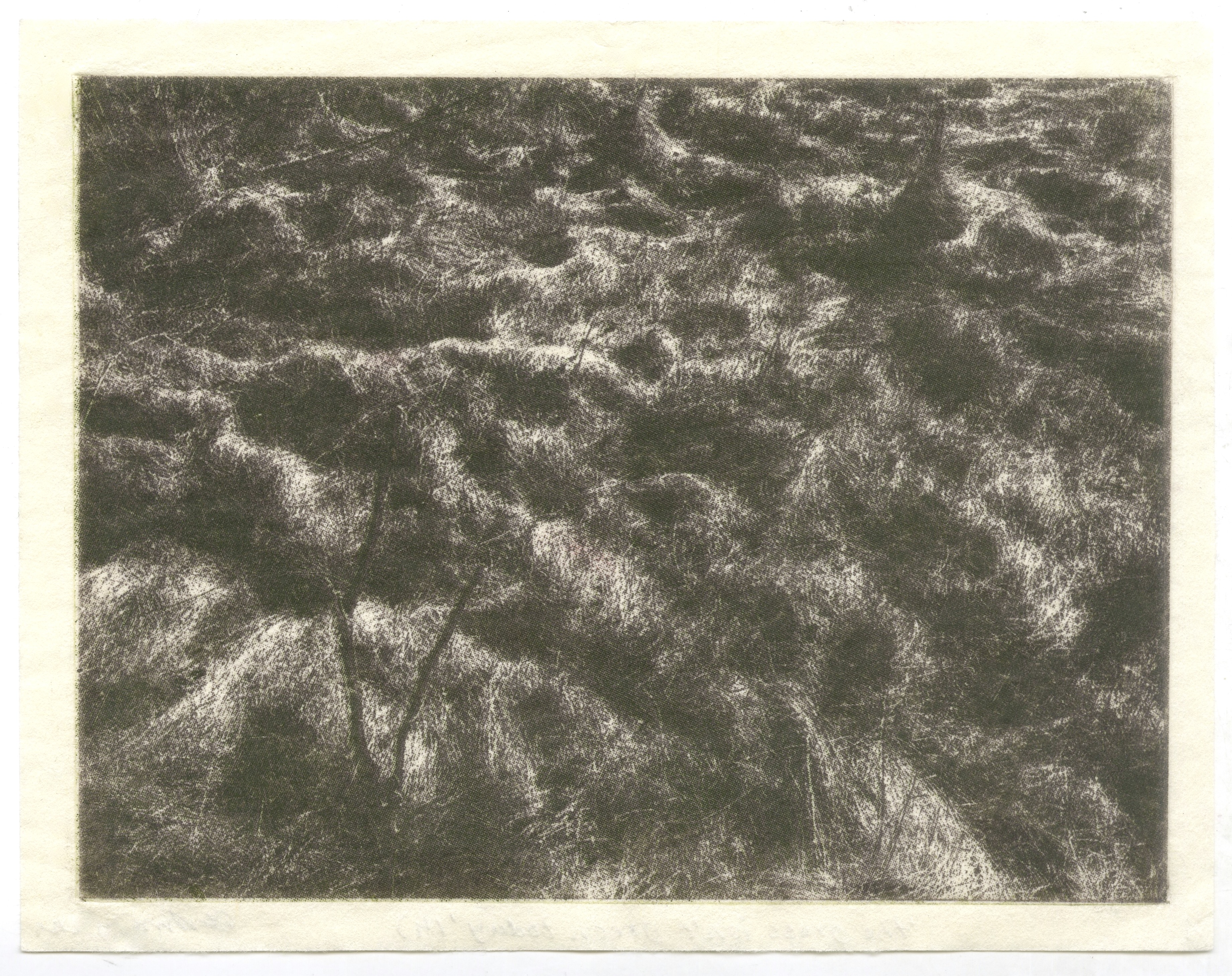 the grass isn't green today