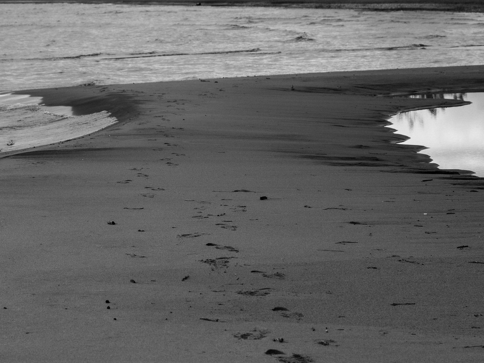 Meet with Nobody on the Dune