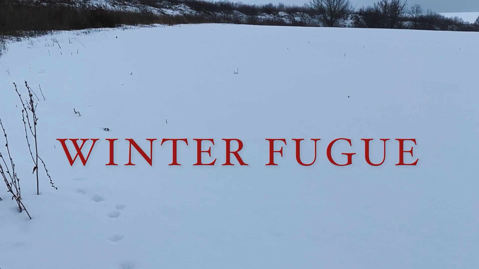 03_Winter Fugue