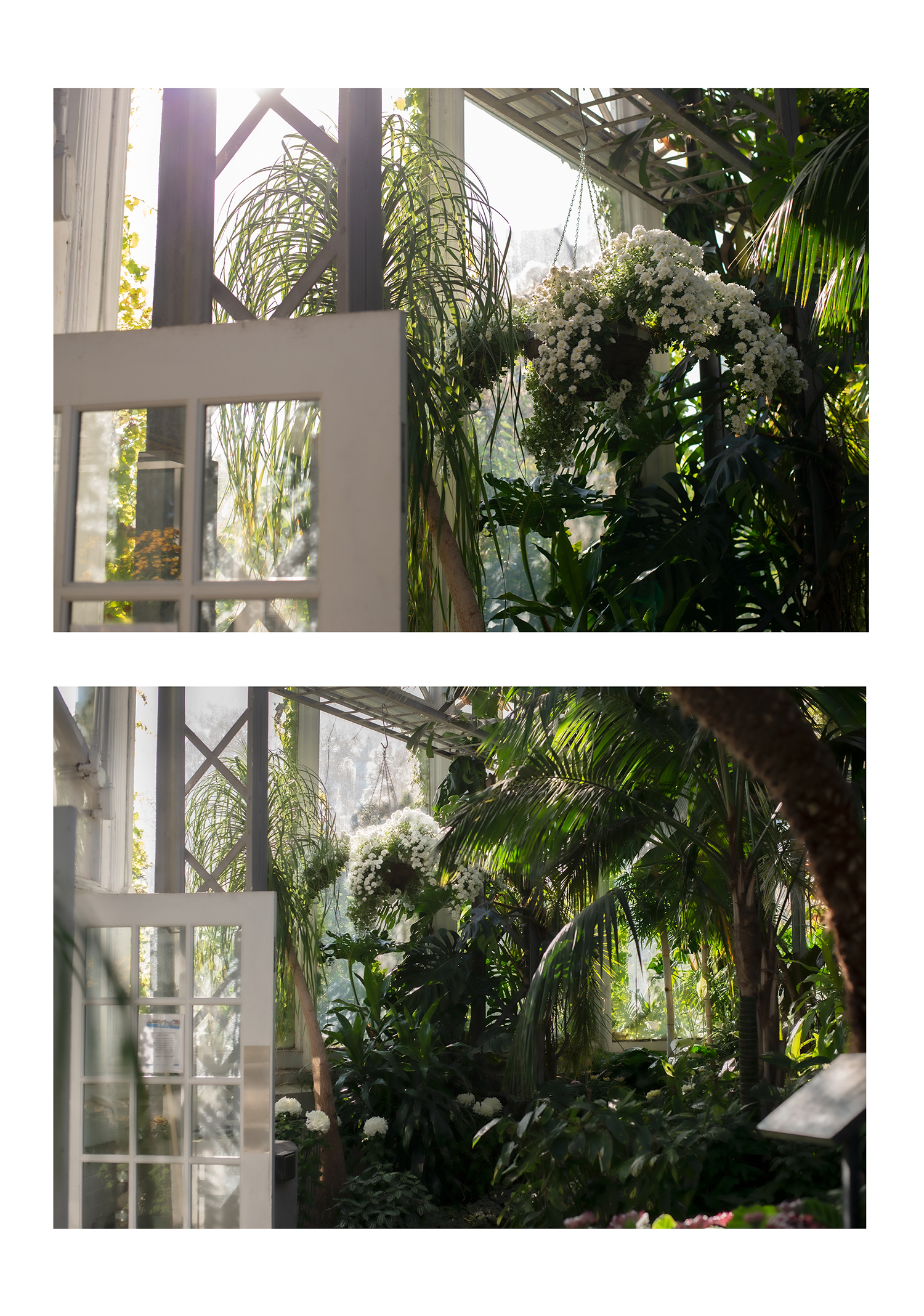 Allan Garden, Accessible Nature