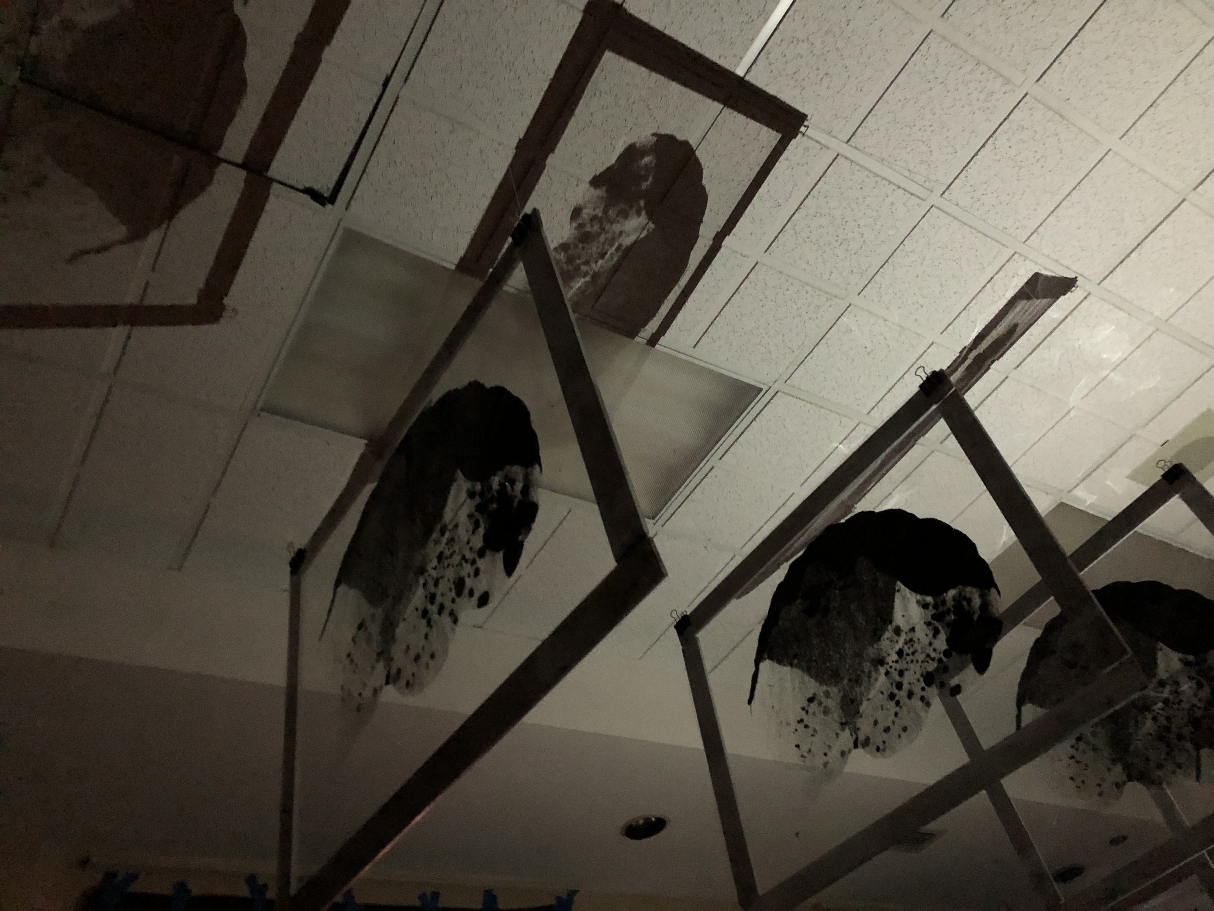 Memories don't Always Last a Lifetime