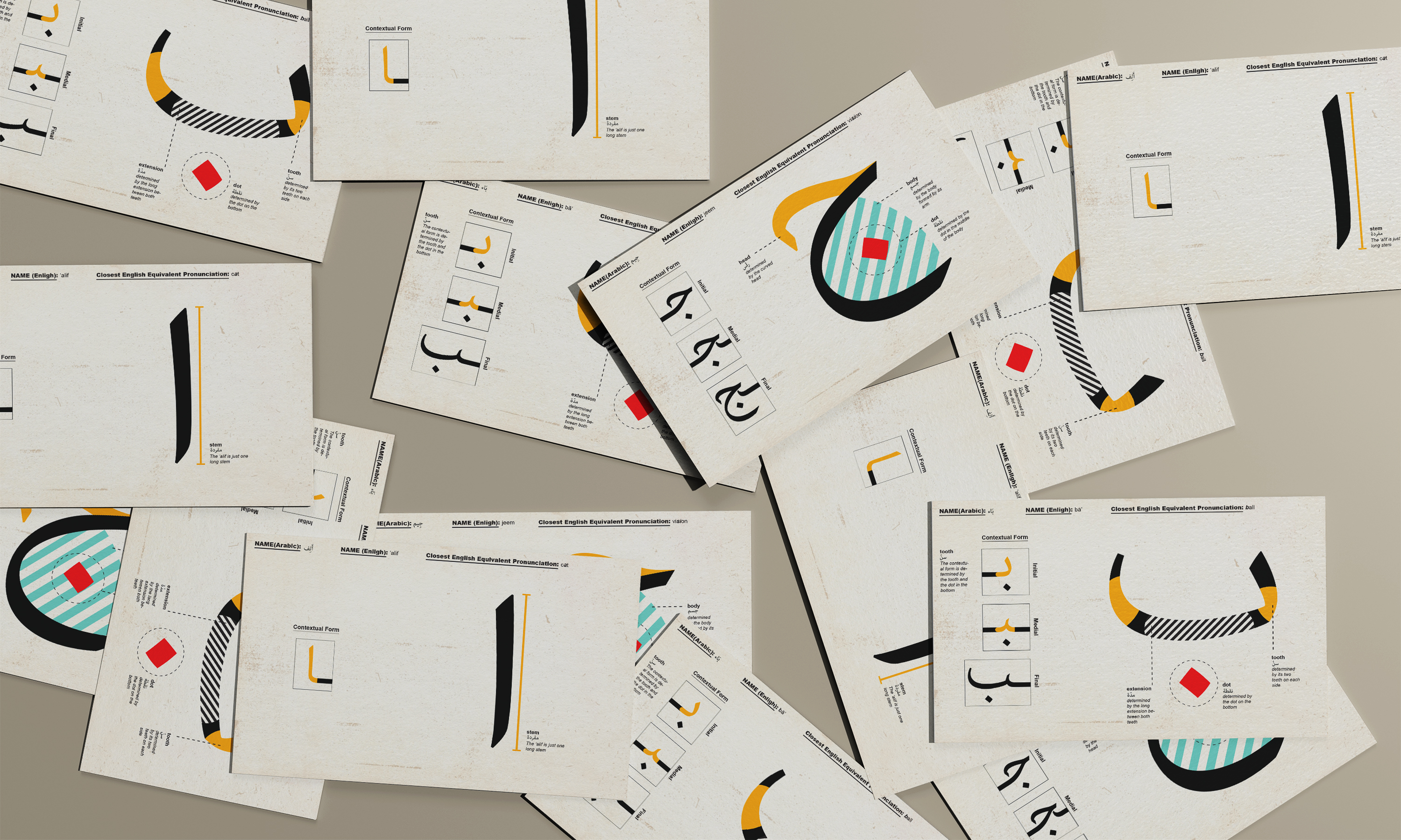 Arabic Anatomy Cards