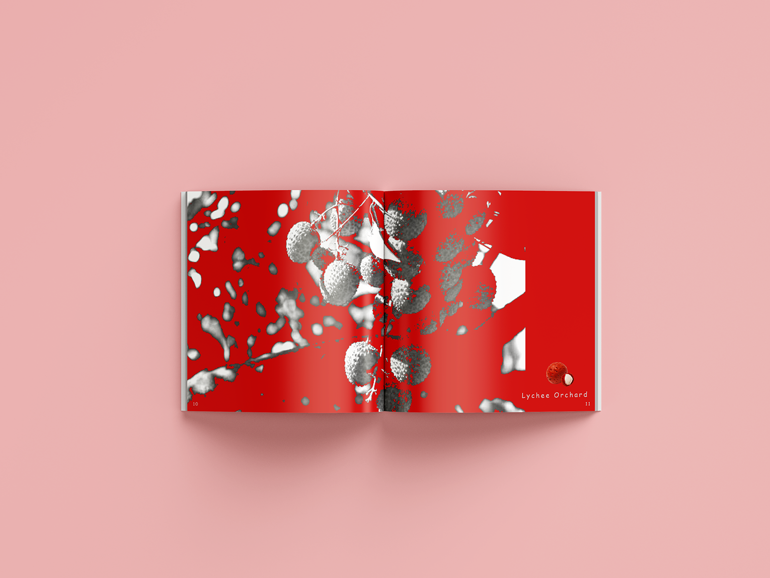 Cantonese Children Songs