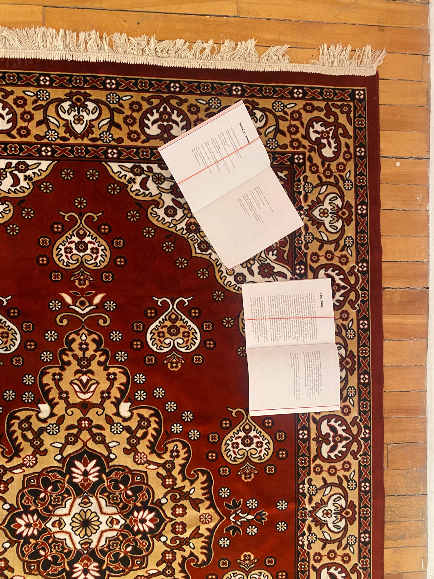 poetry/short story book