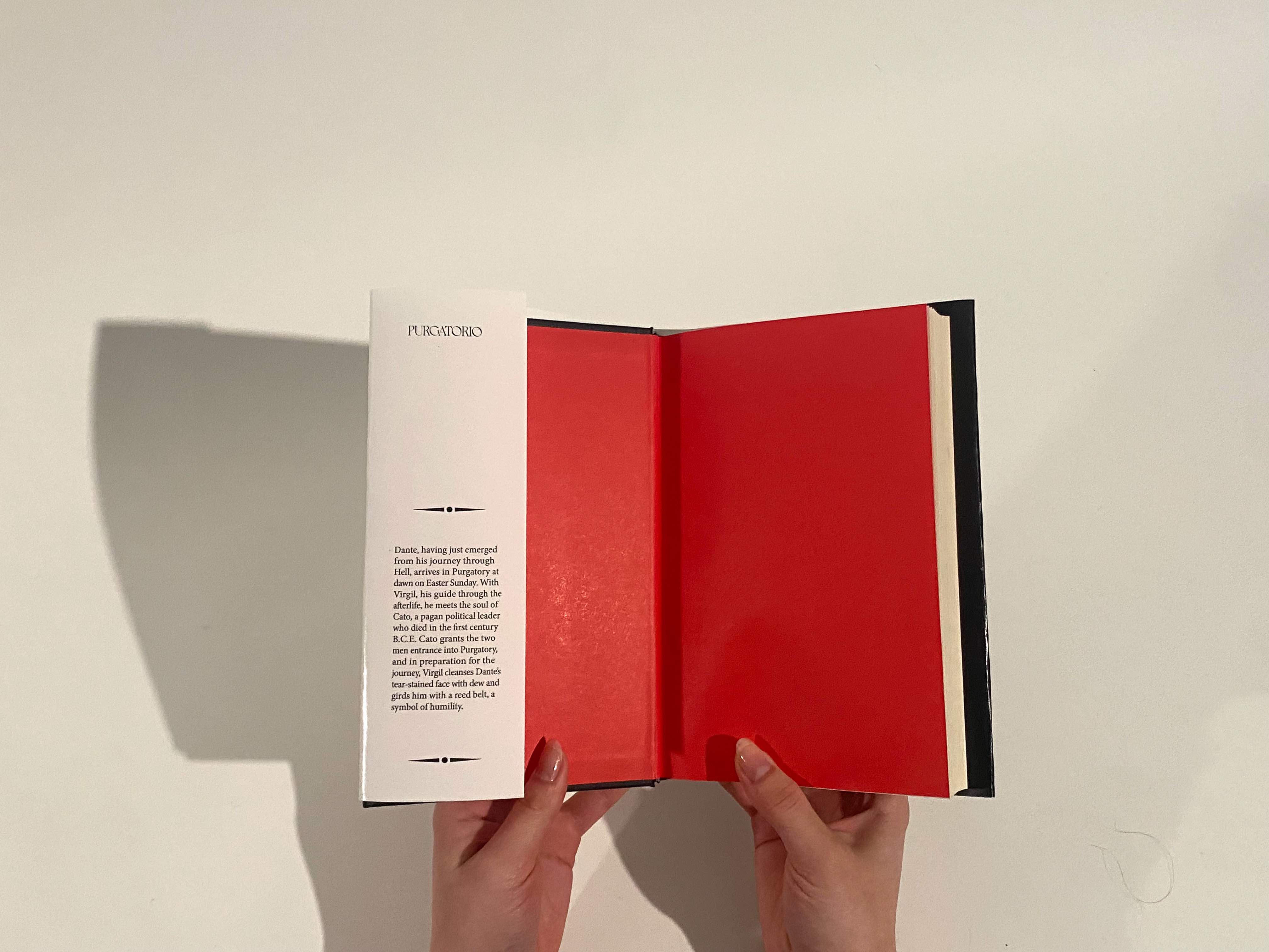 The Divine Comedy Book Sleeve