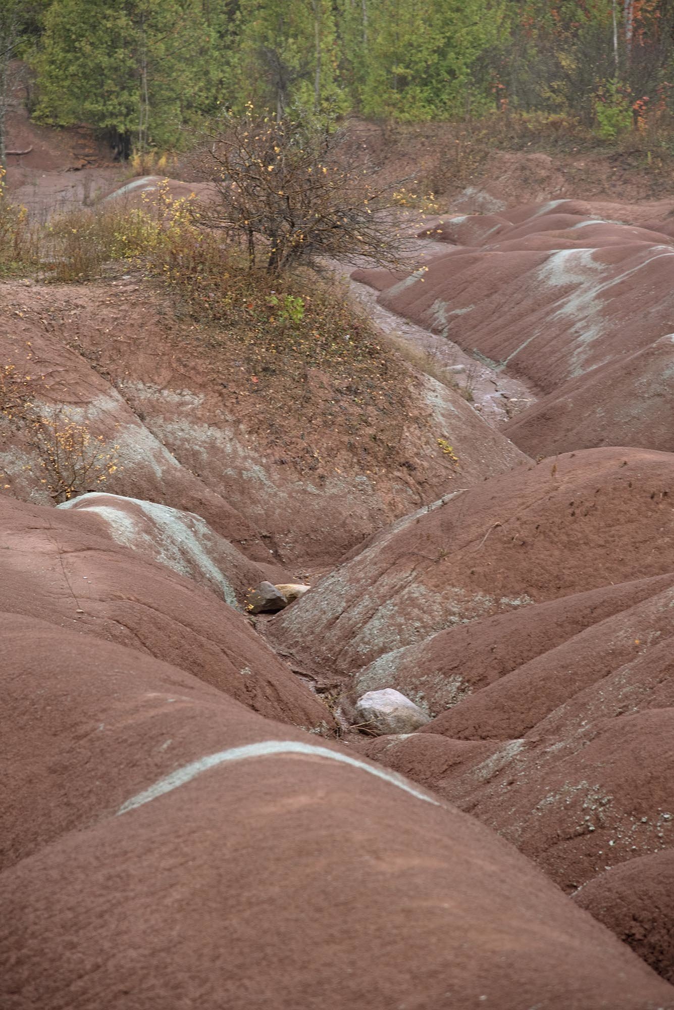 A Visual Representation of Time Passed