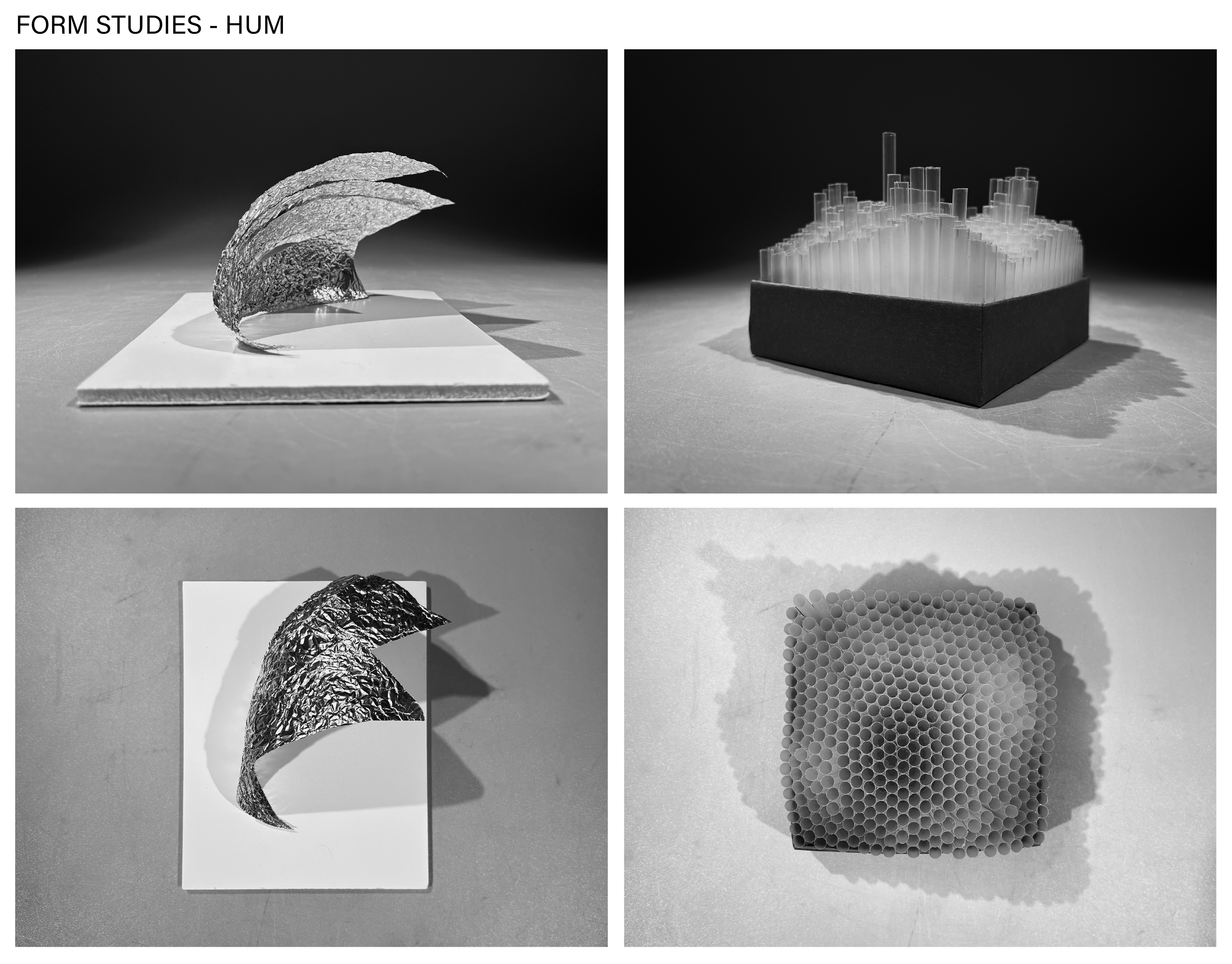 HUM FORM STUDY