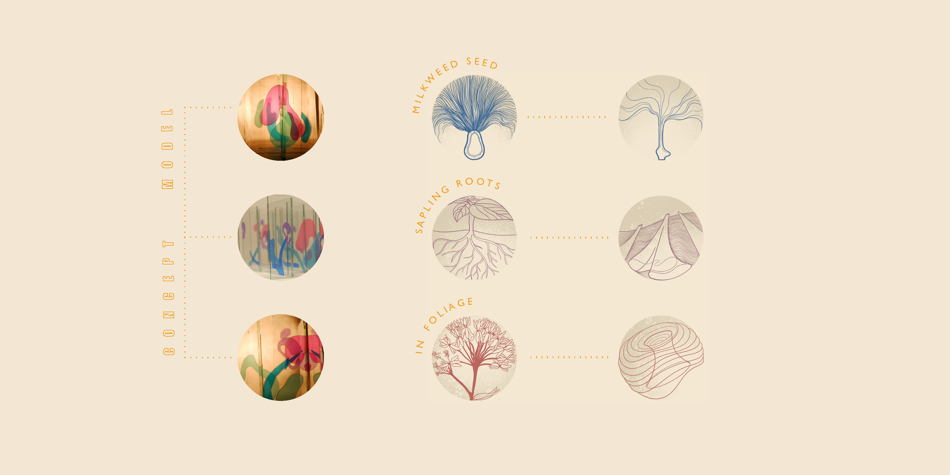 Conceptual Framework
