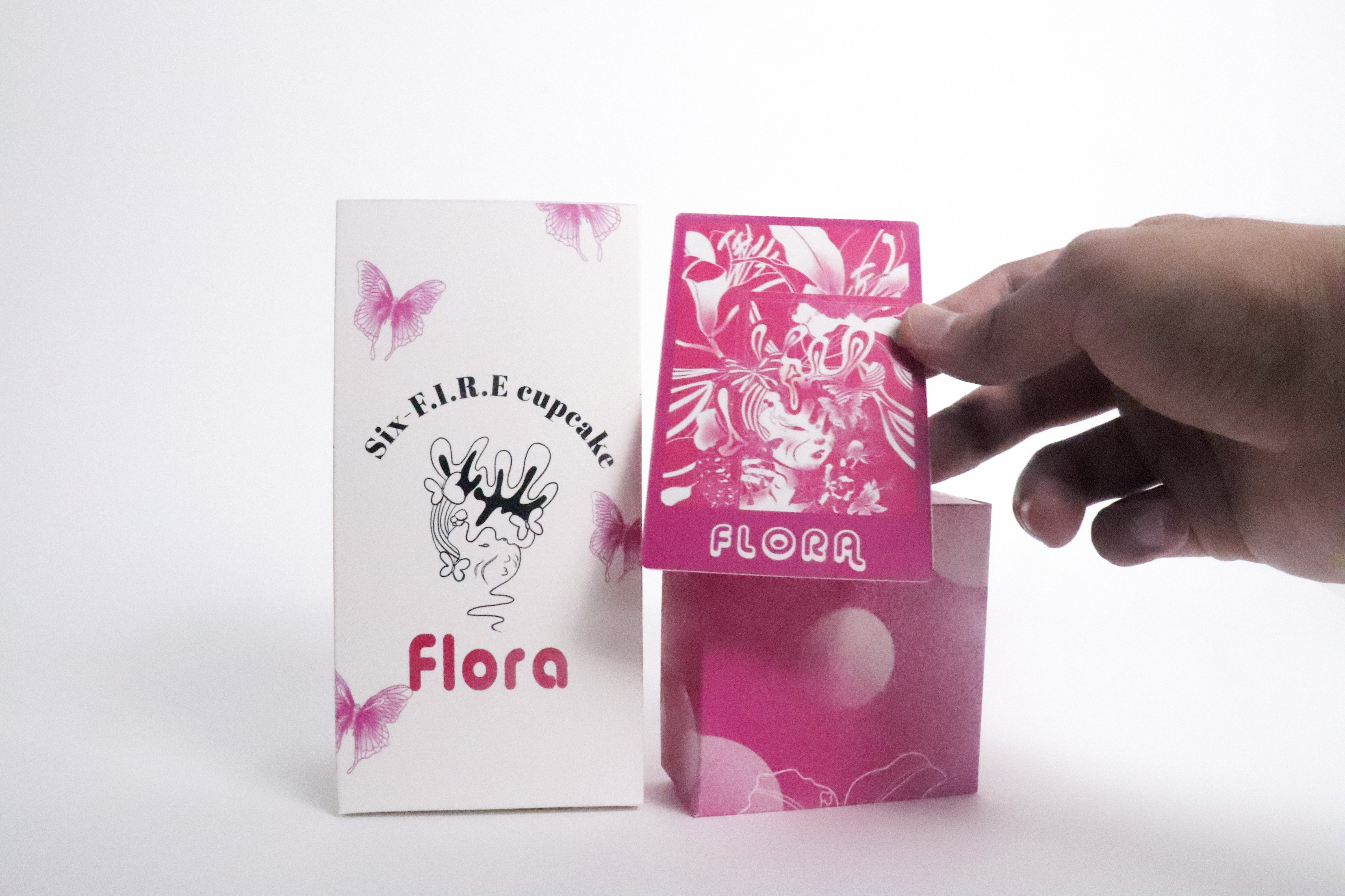 The Man Who Fell to Earth