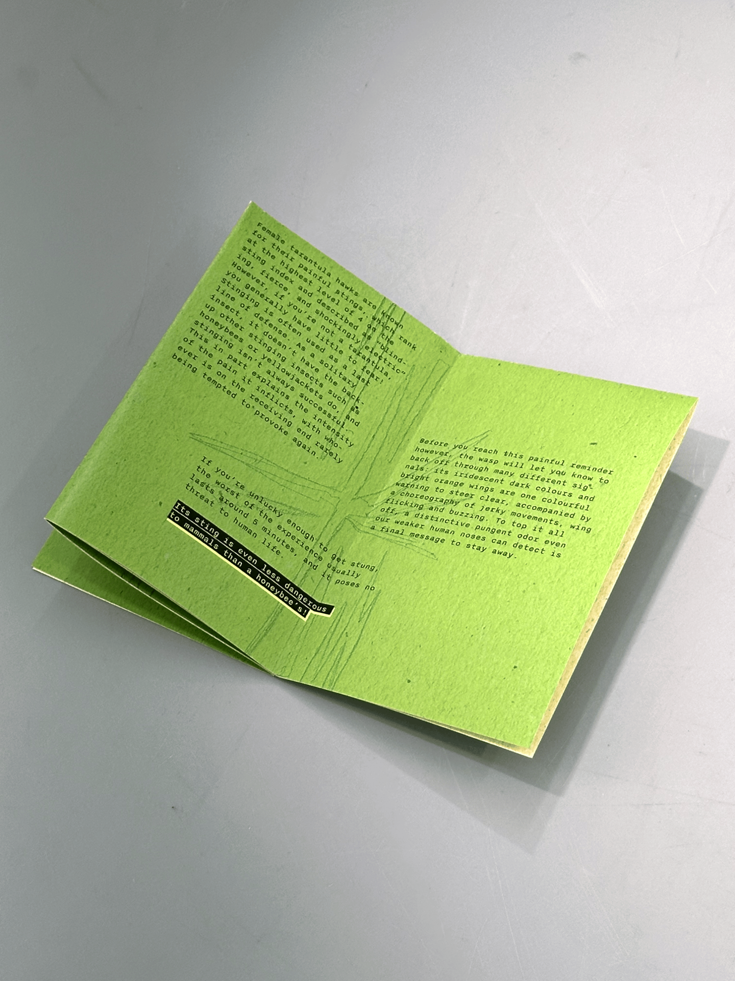 The Tarantula Hawk: an Informational Zine