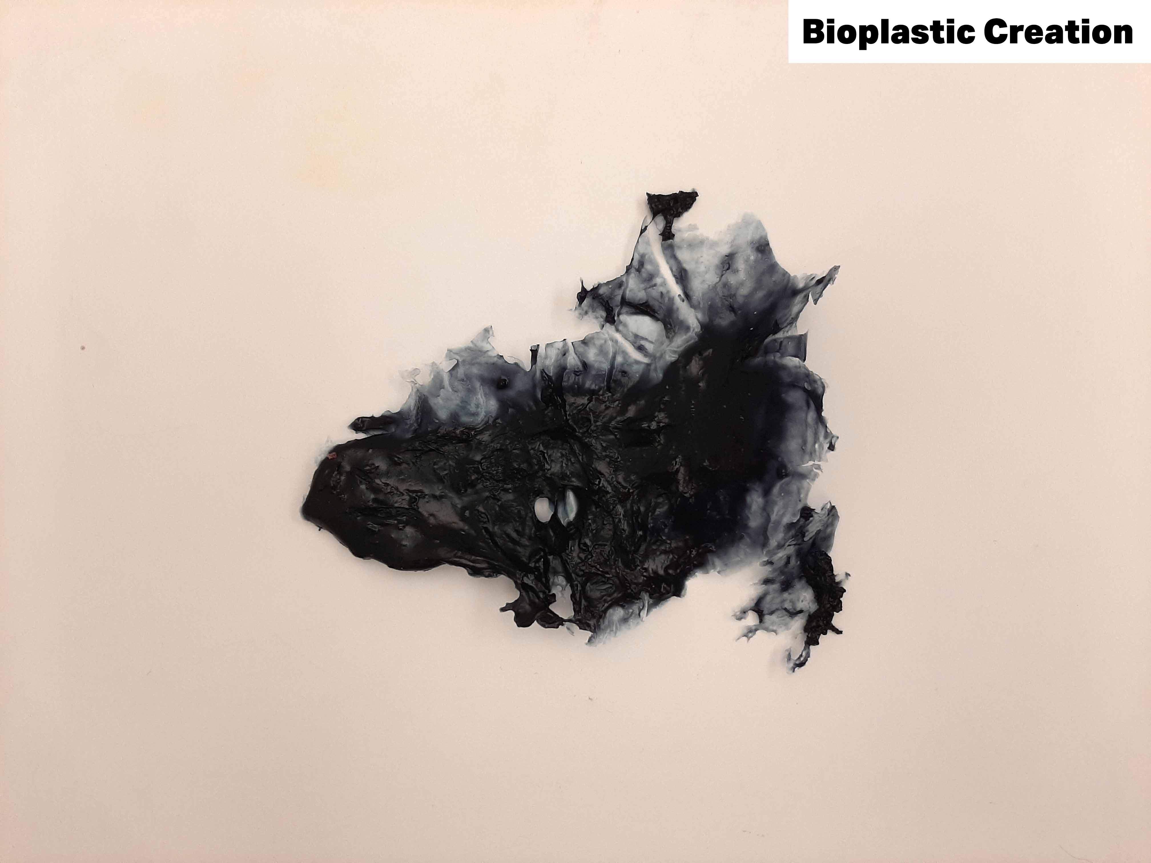 Bioplastic Creation - 2