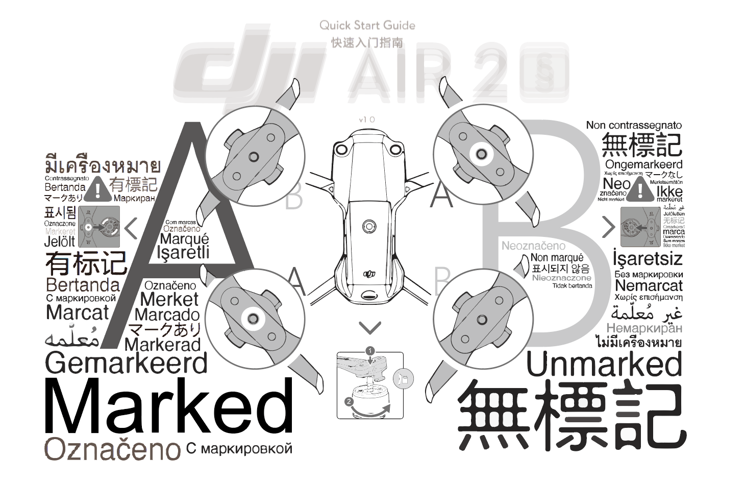 Reproducing Instruction