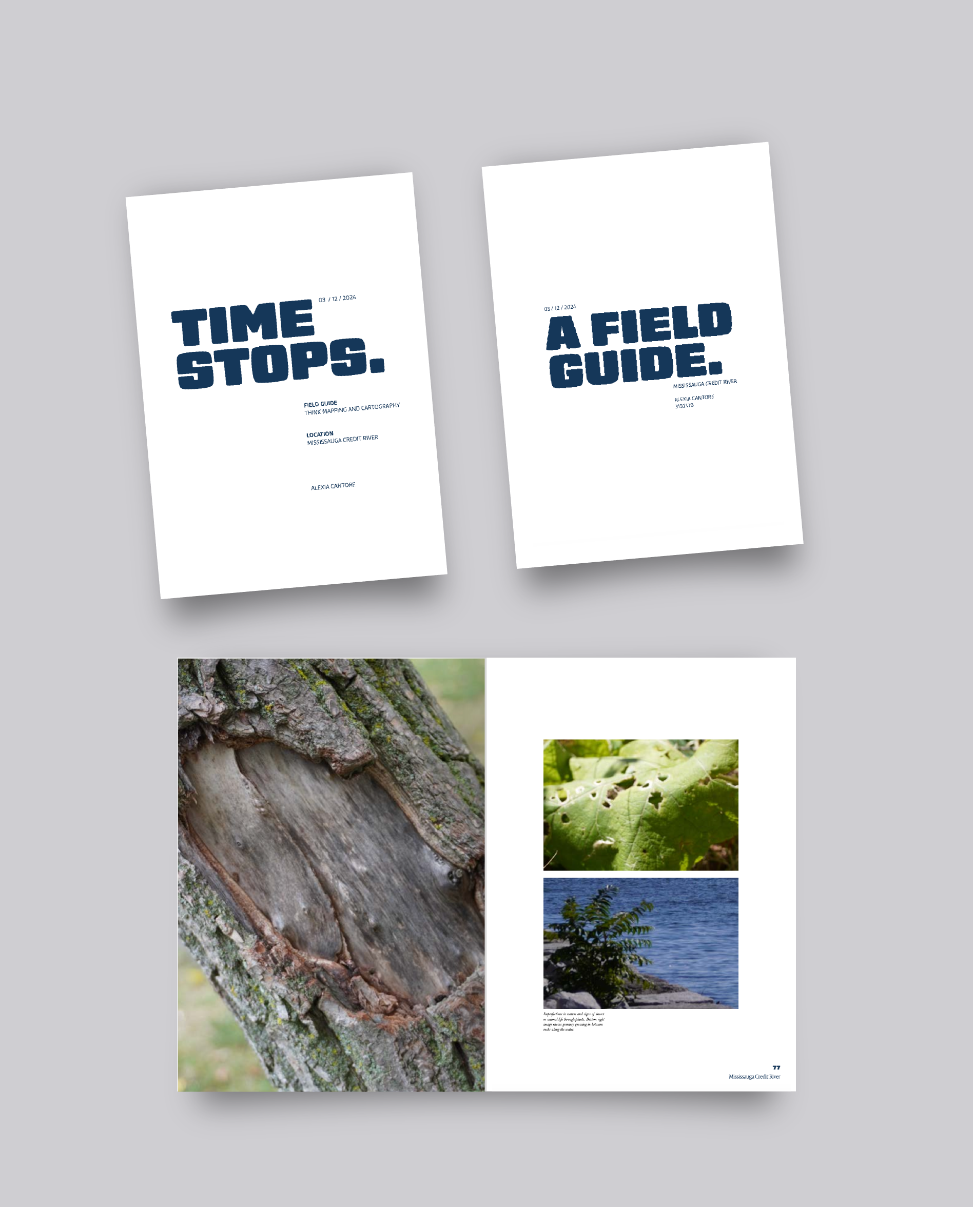 Mississauga Credit River Feild Guide