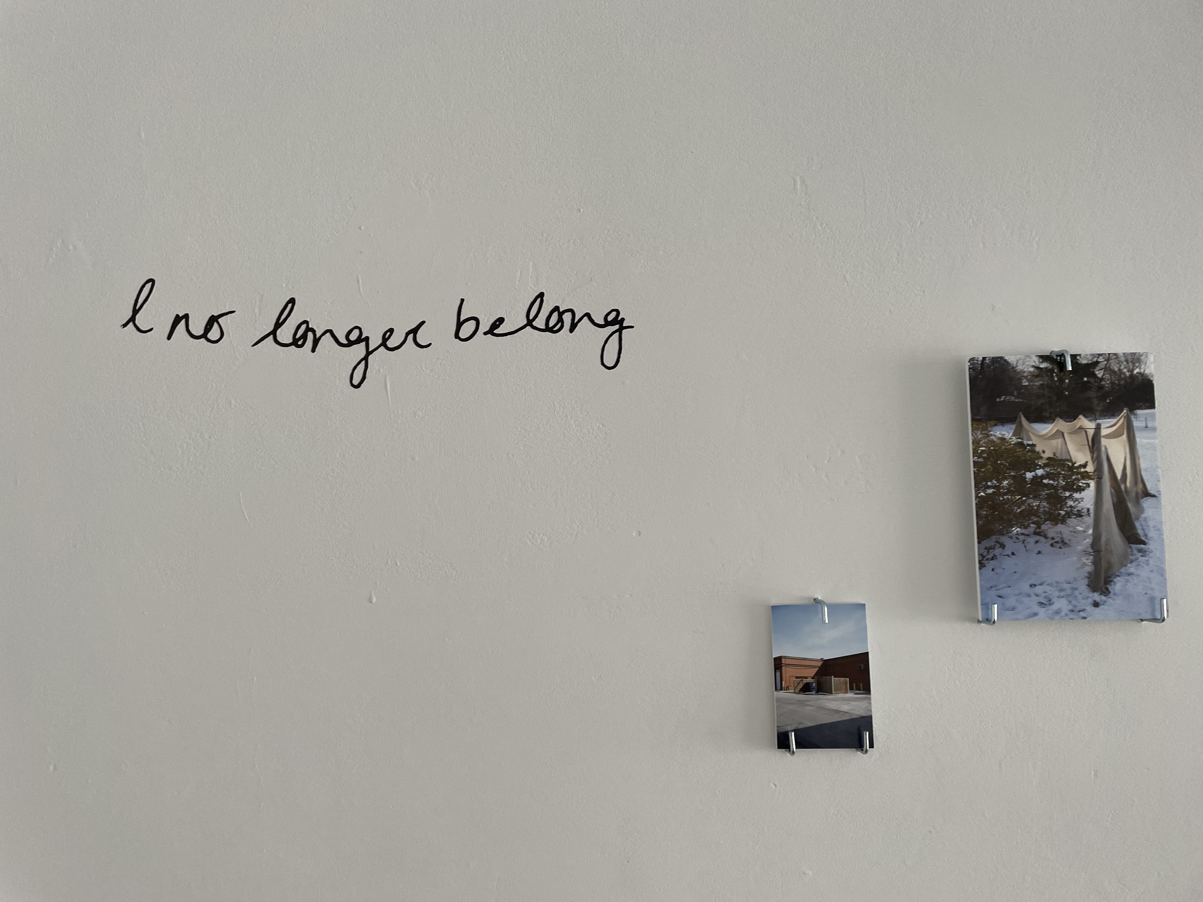 Where We Used to Walk - Installation