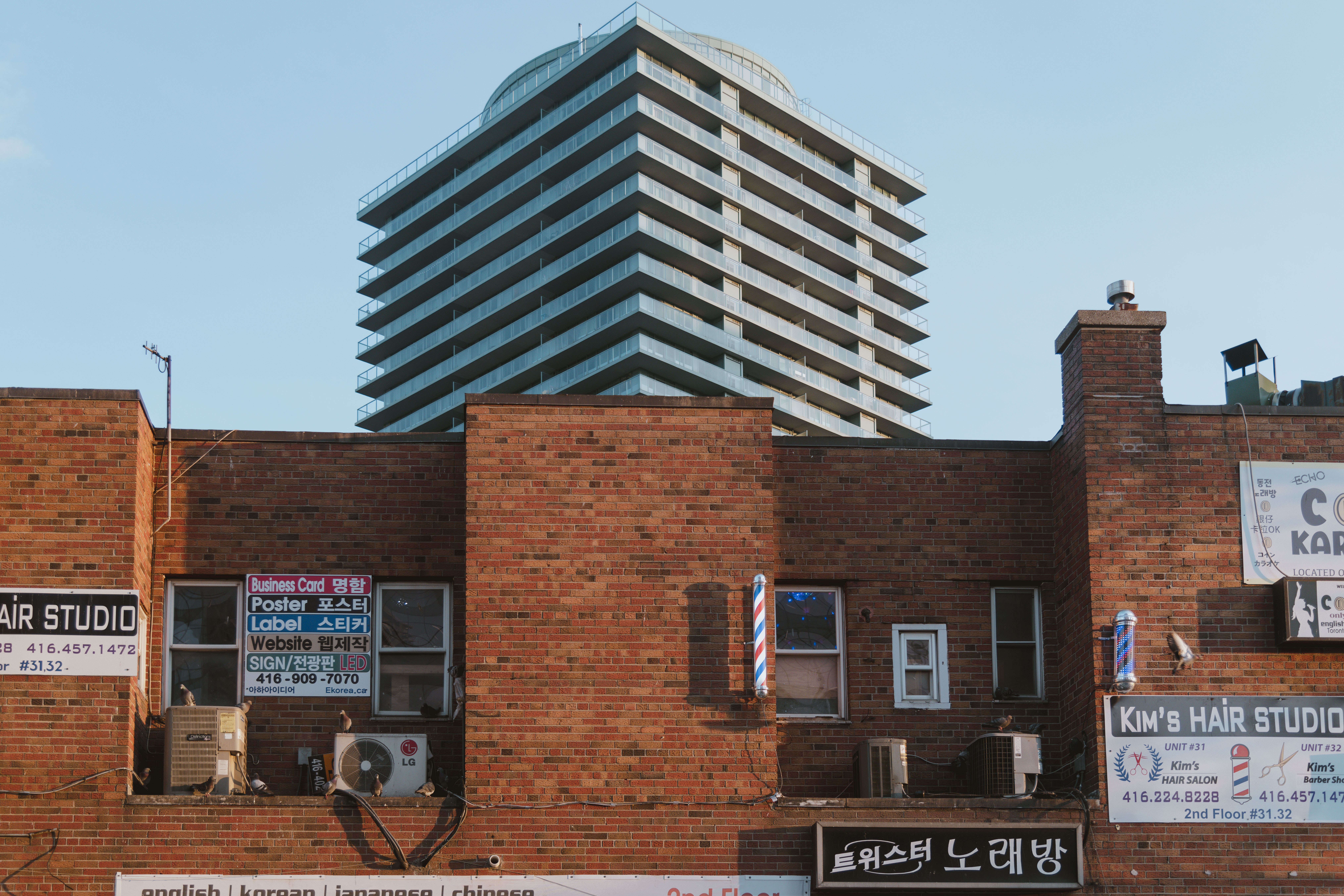 The Moon and Sixpence