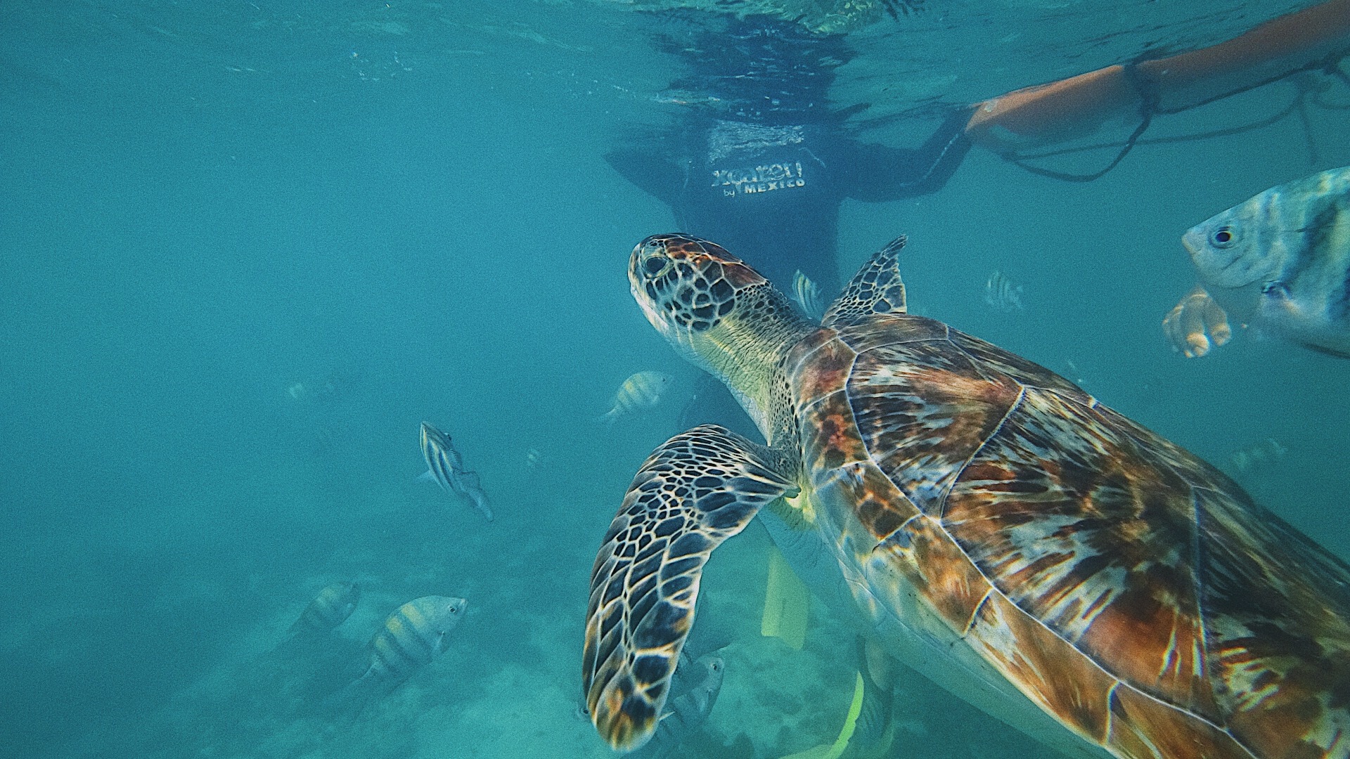 Photography and Observation