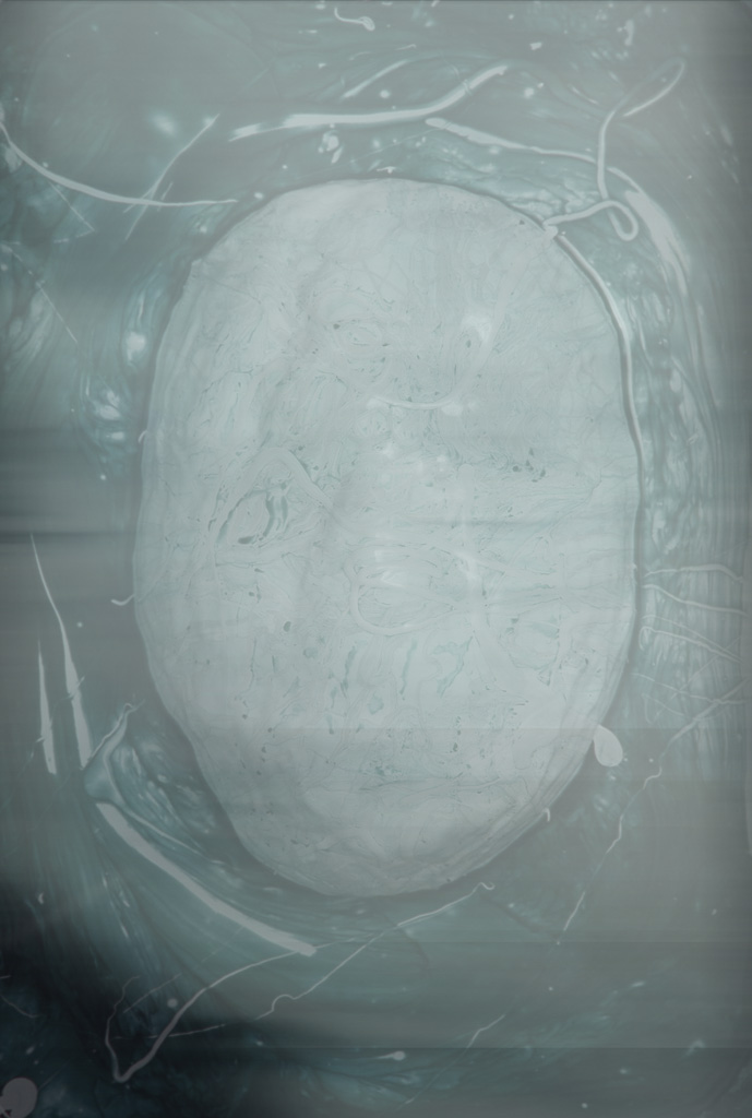 Bacterium Metamorphose