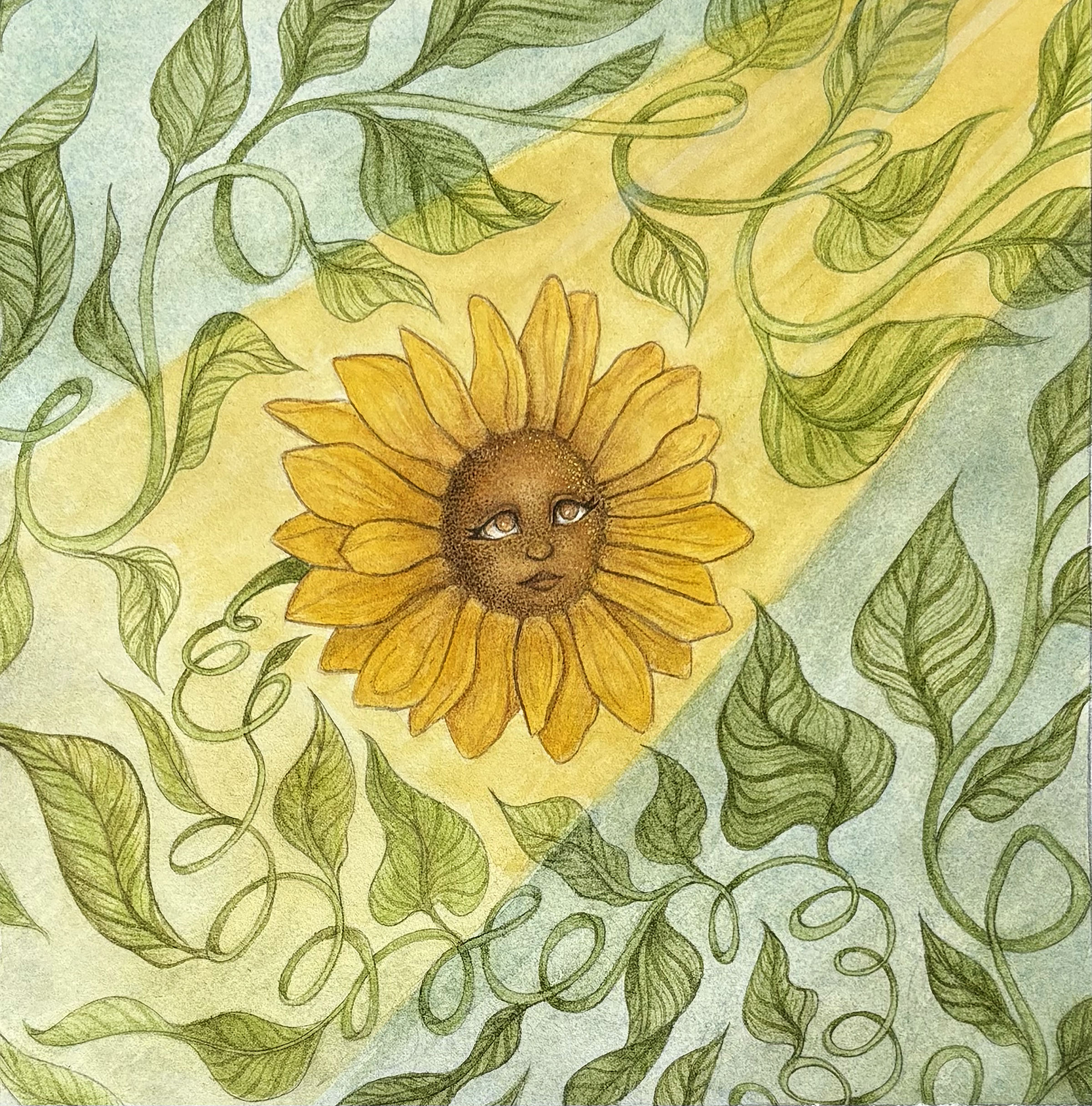 Sunflower
