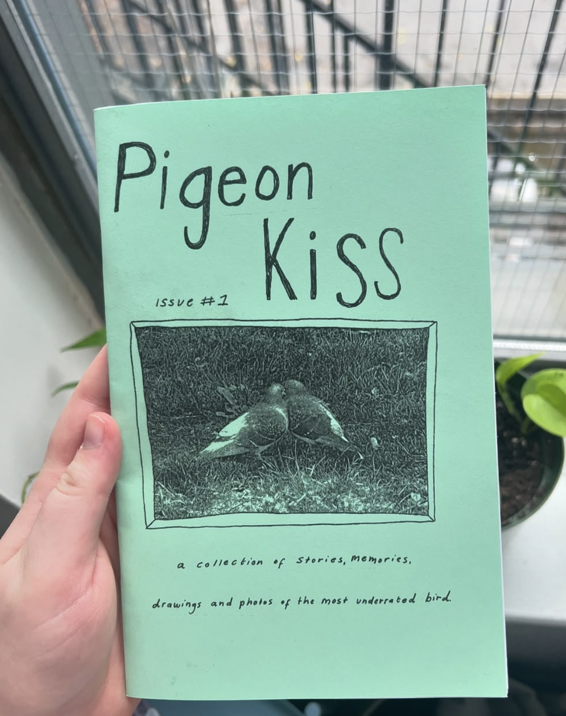Pigeon Kiss