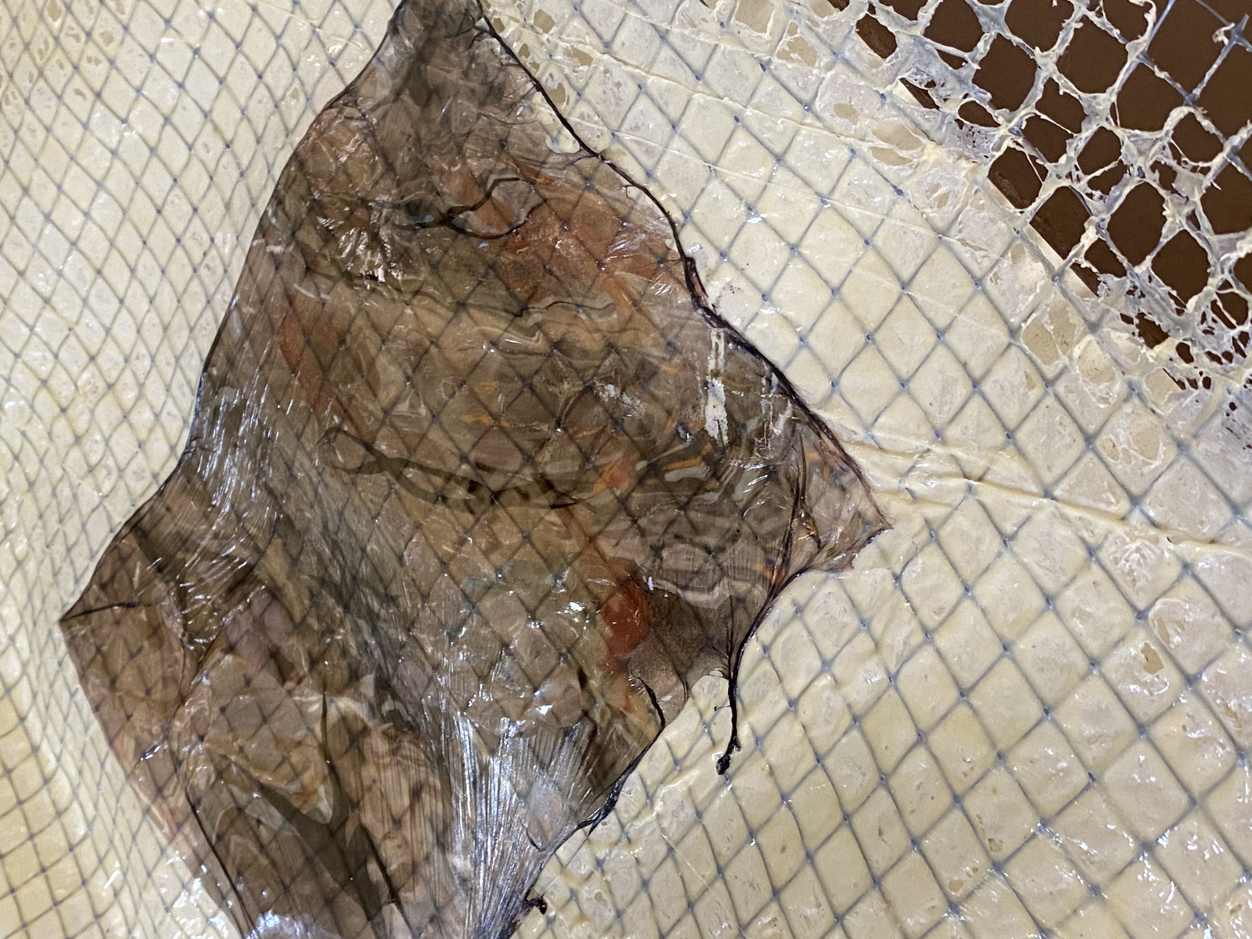 where I end I begin again