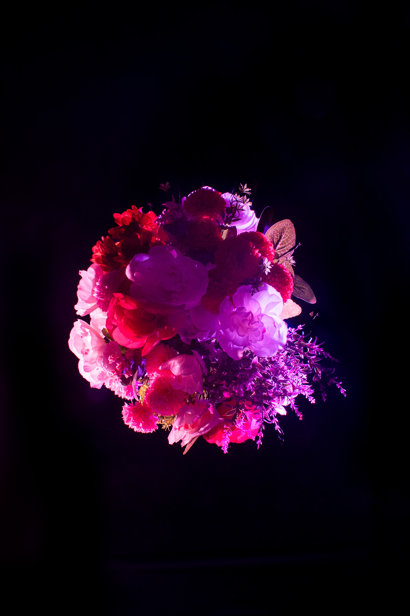 Ethereal Blooms