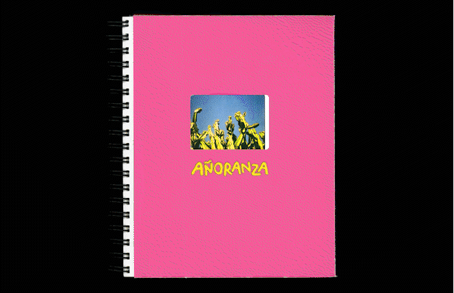 Añoranza: The Photobook