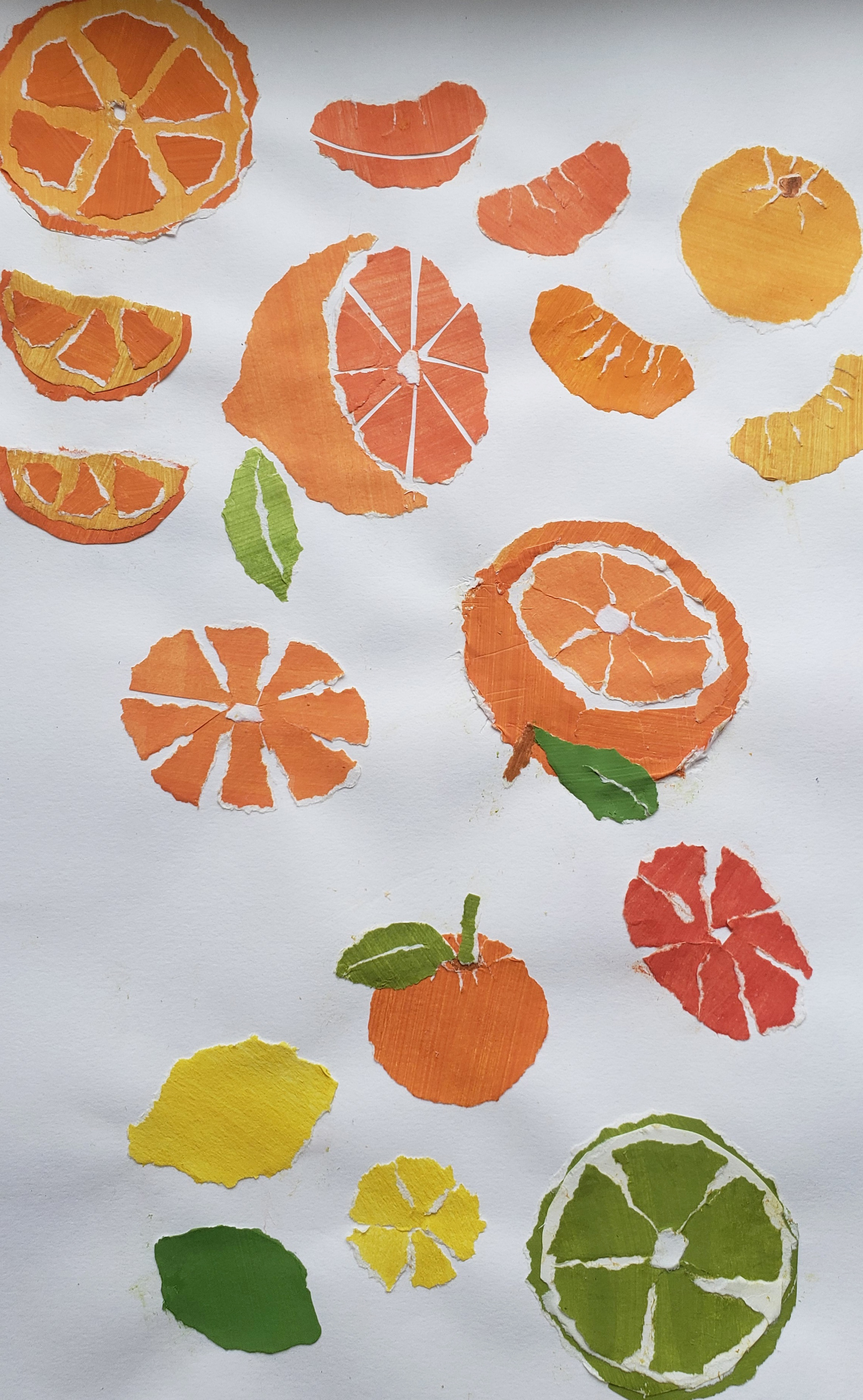 "Vitamin C for Citrus" collage development