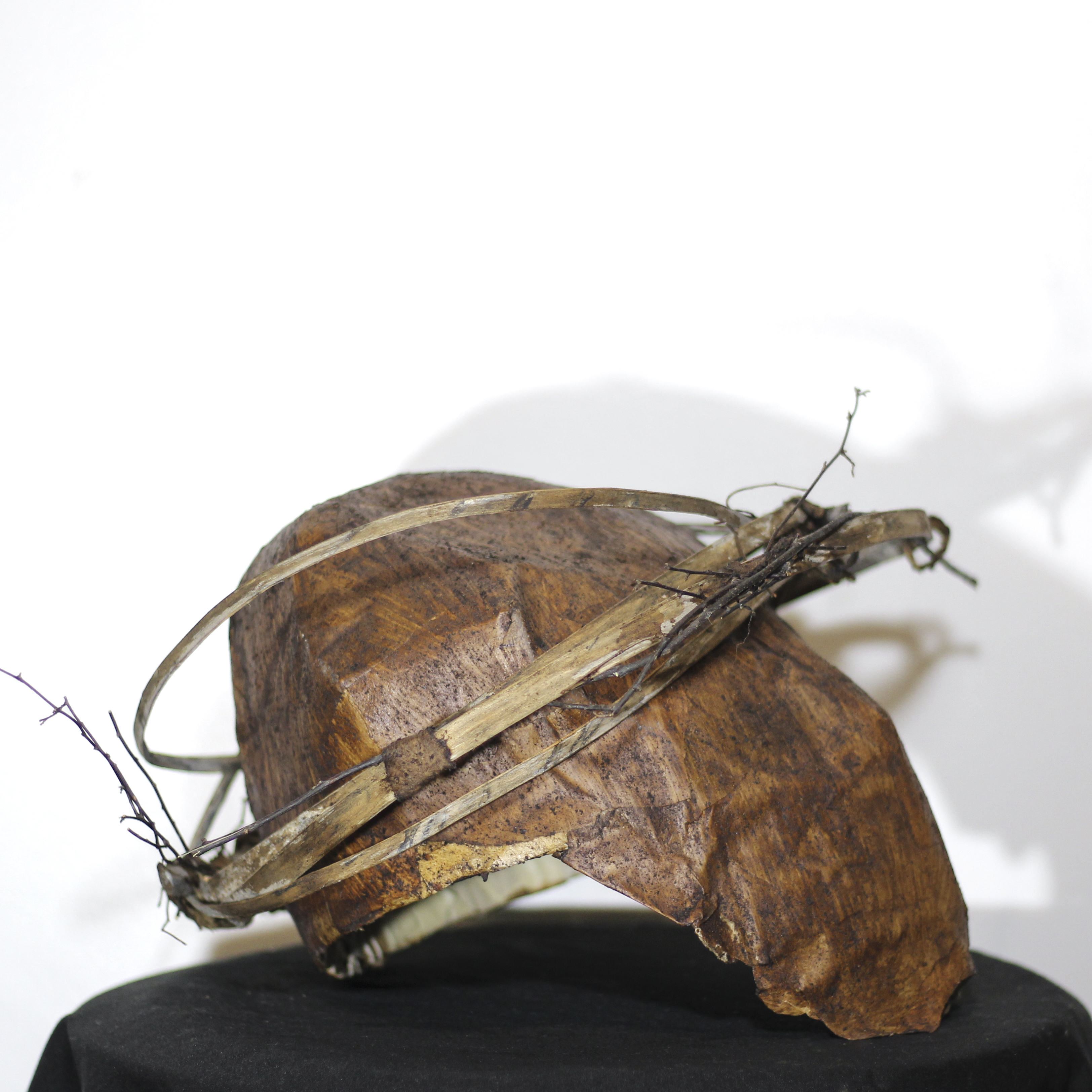 Unmasking Depression Mask