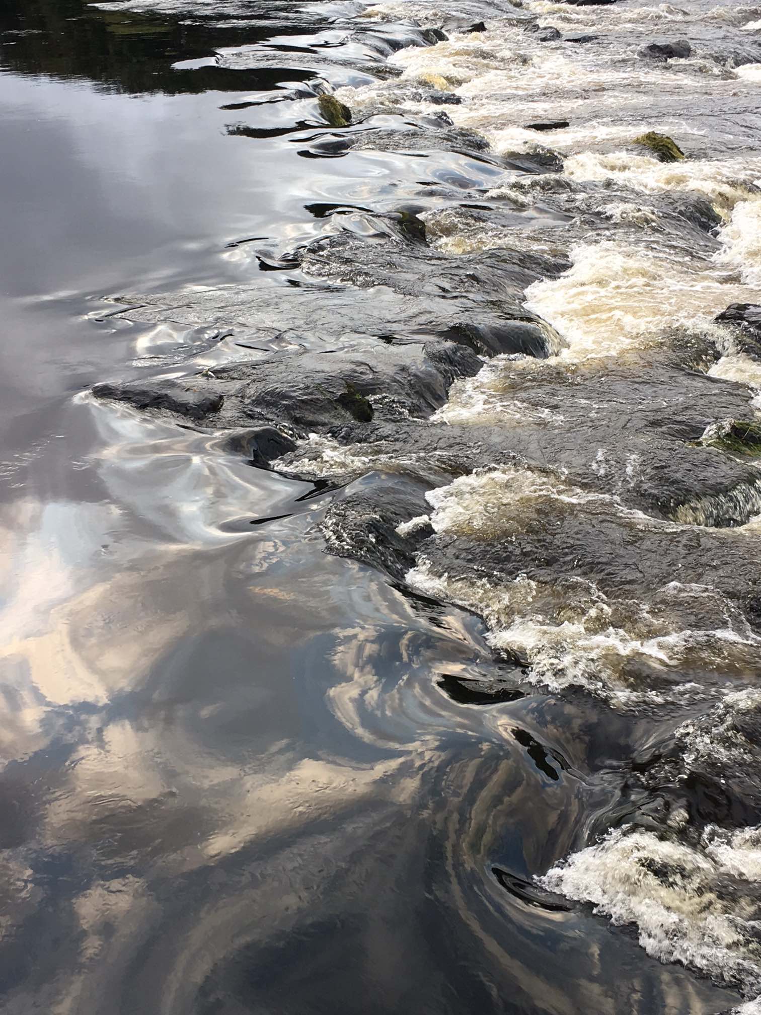 Sociology Future Perspectives_Research Essay_01_2019 Jane Darling