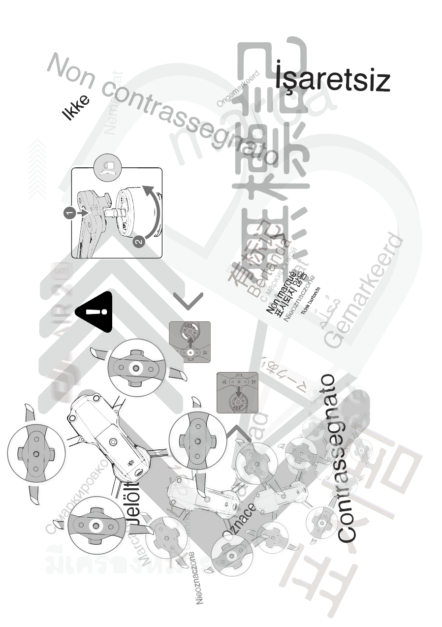 Reproducing Instruction