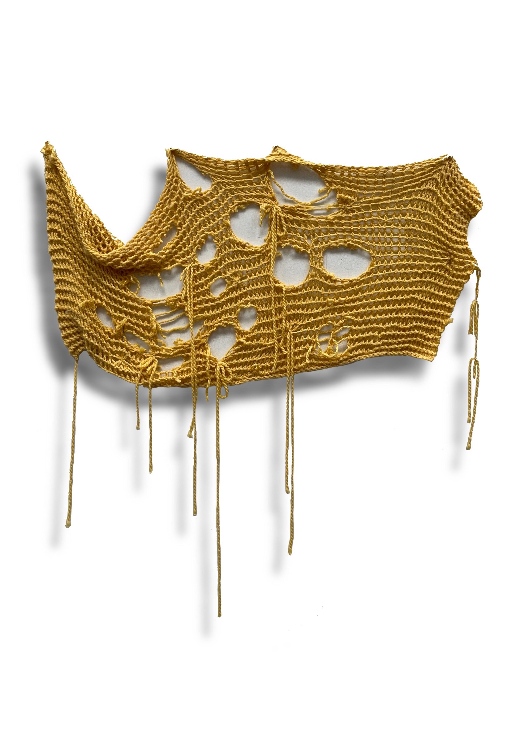 I wake up every morning and look for the sun