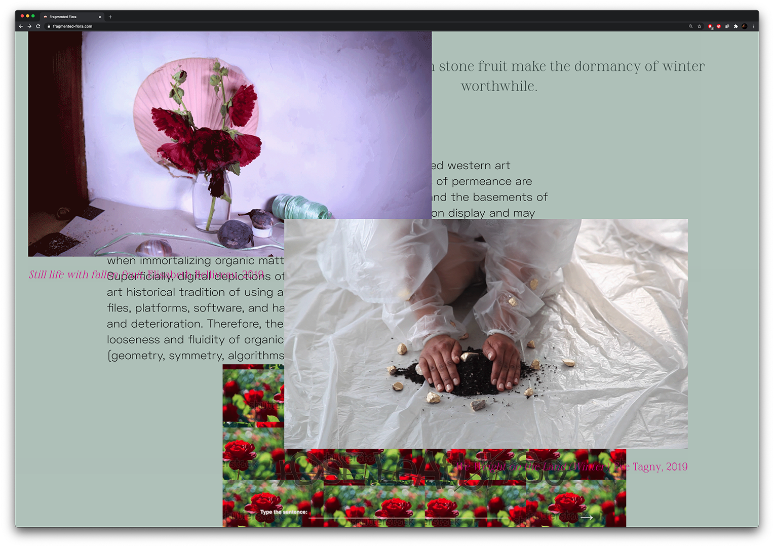 Fragmented Flora: Digital Embodiments of Being in Time and Space