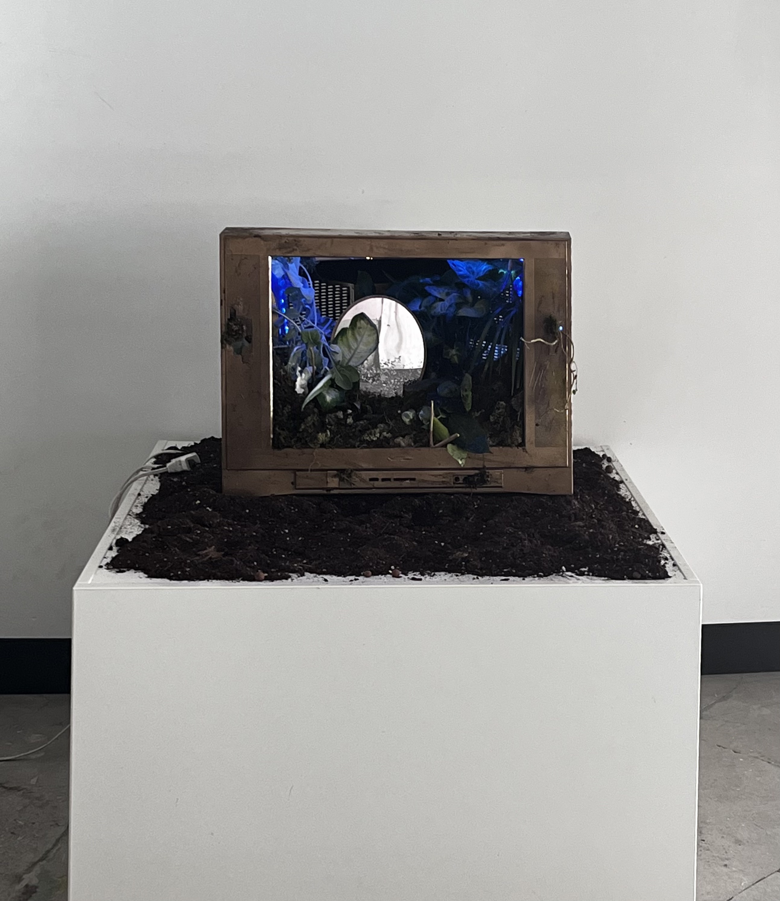 01 Jury Consideration - Watch the Land, Watching You