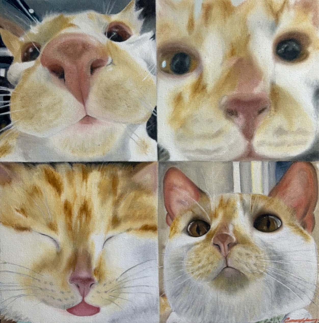 Cheesy Quartet