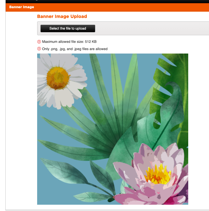 Photo - Test to see if it shows up in Profile still