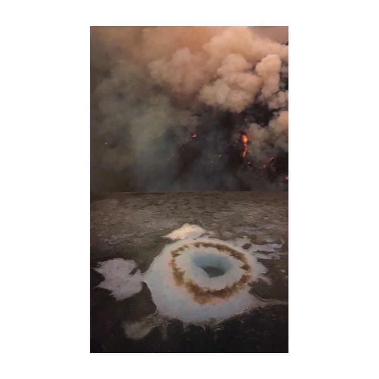 Plume, 2021, Collage, 36 x 22