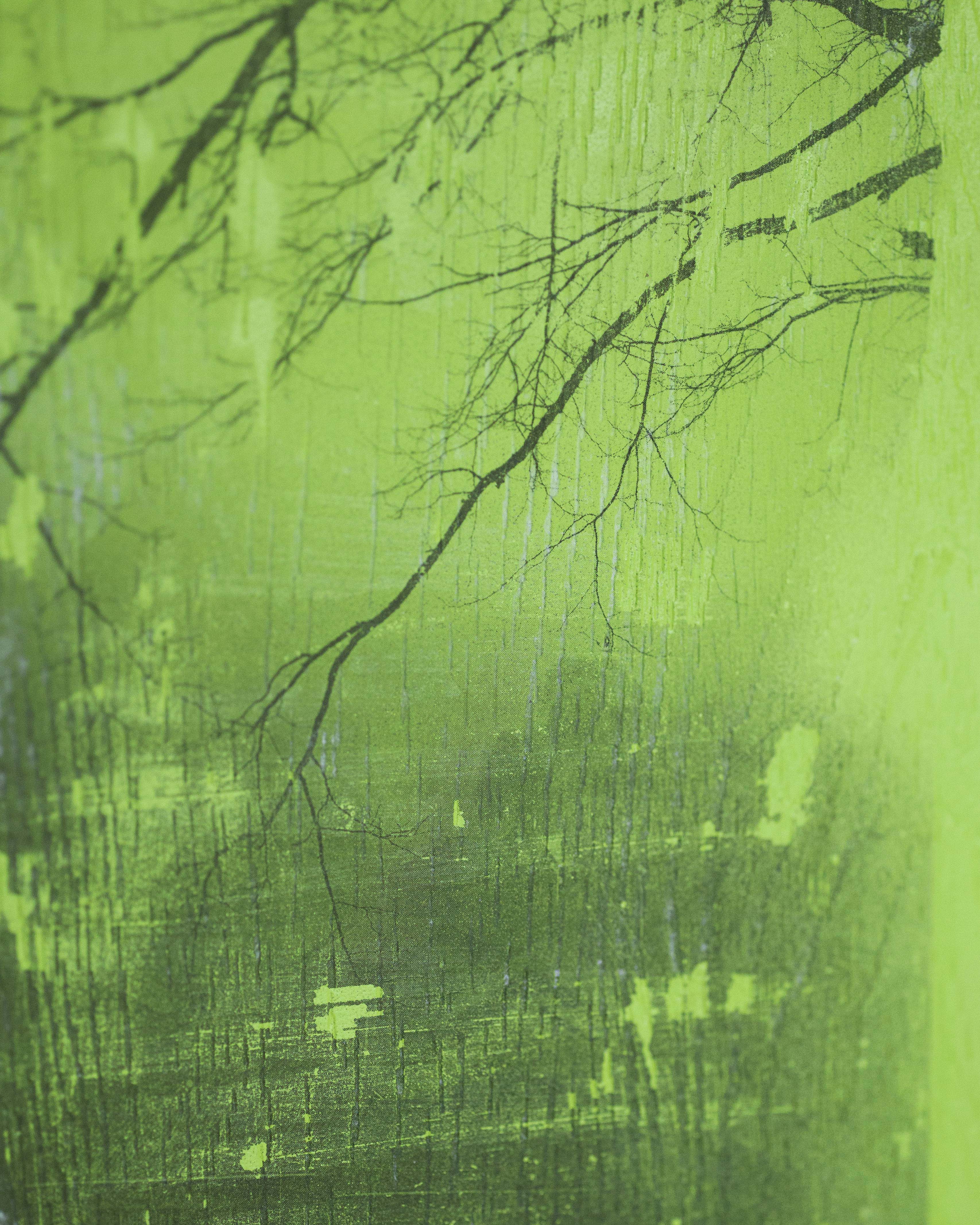 a river waiting for falling pears