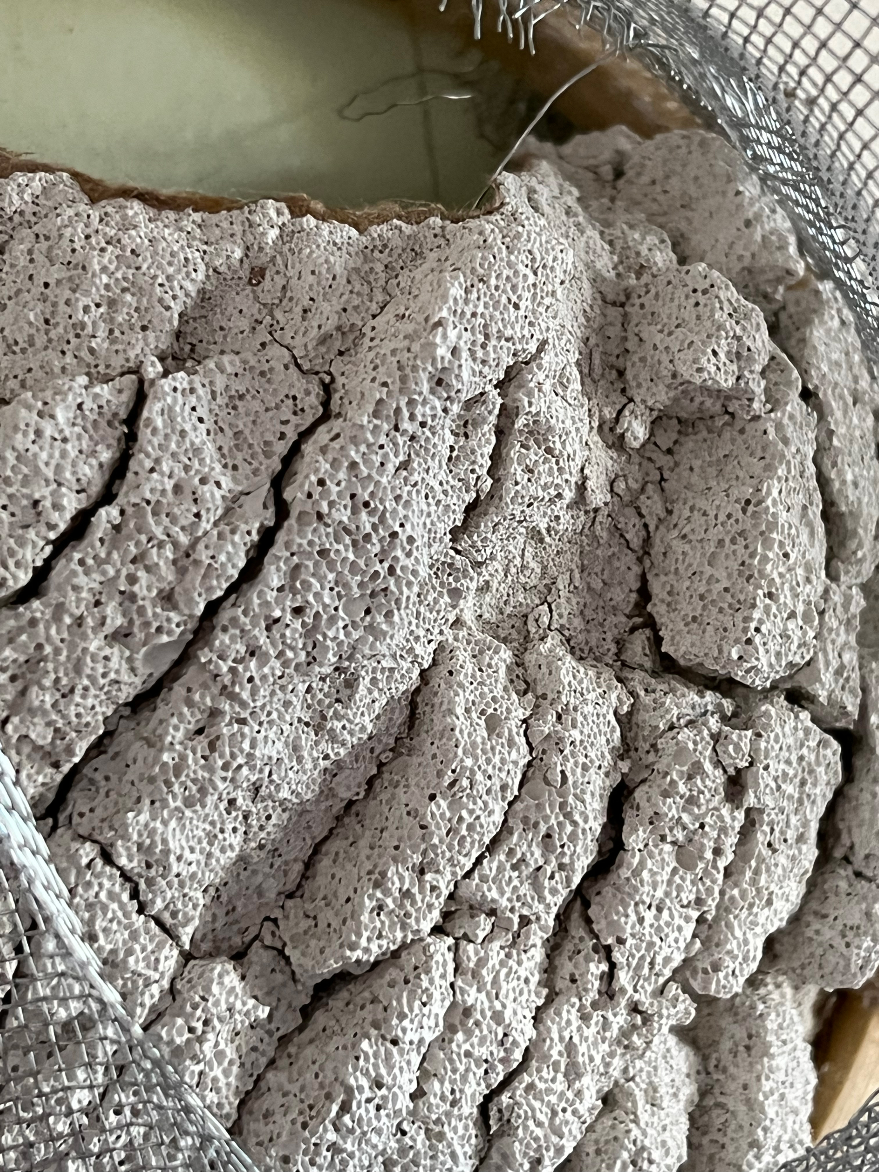 Concept Model Detail