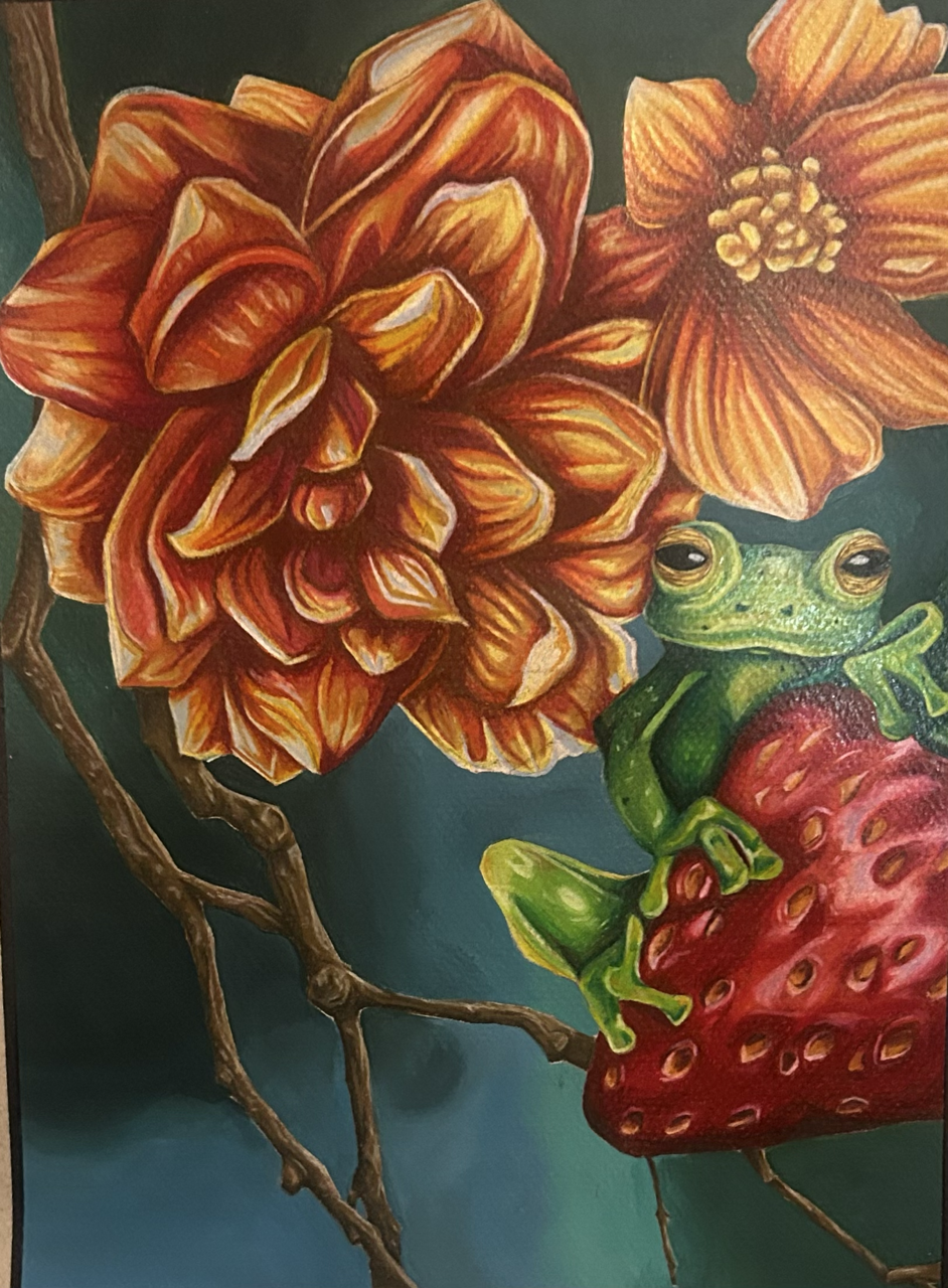 The Strawberry and the Frog