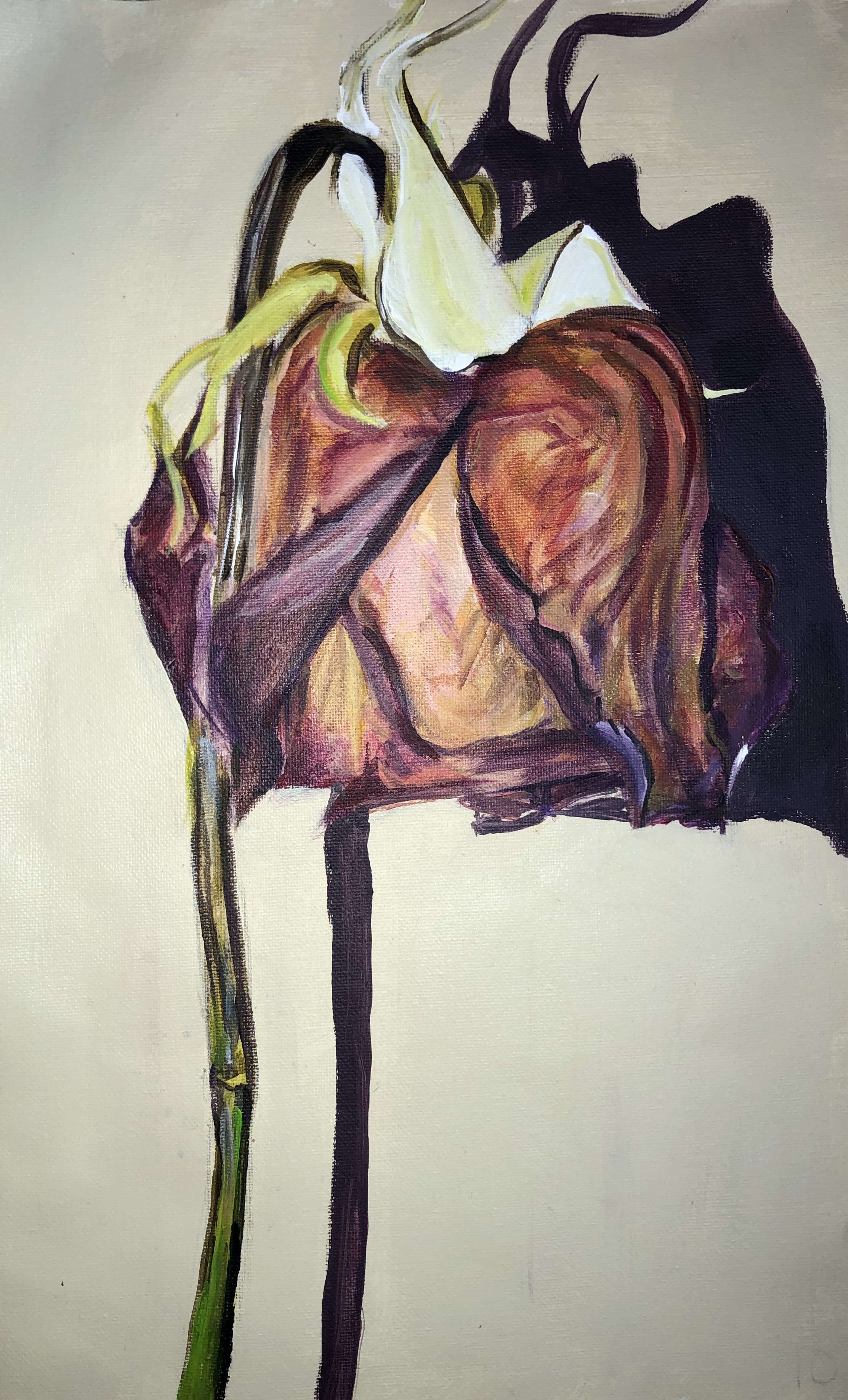 Degradation (series)