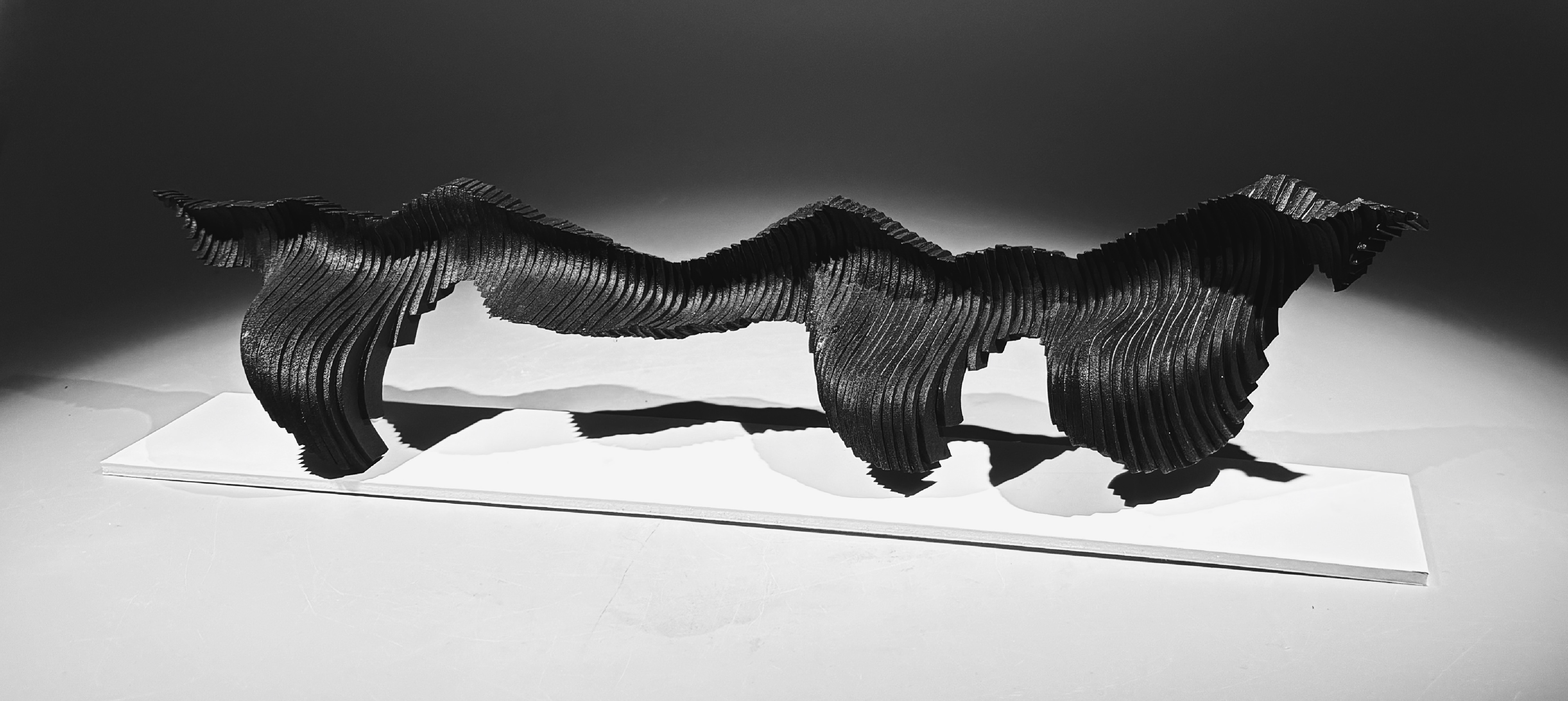 HUM ABSTRACT MODEL