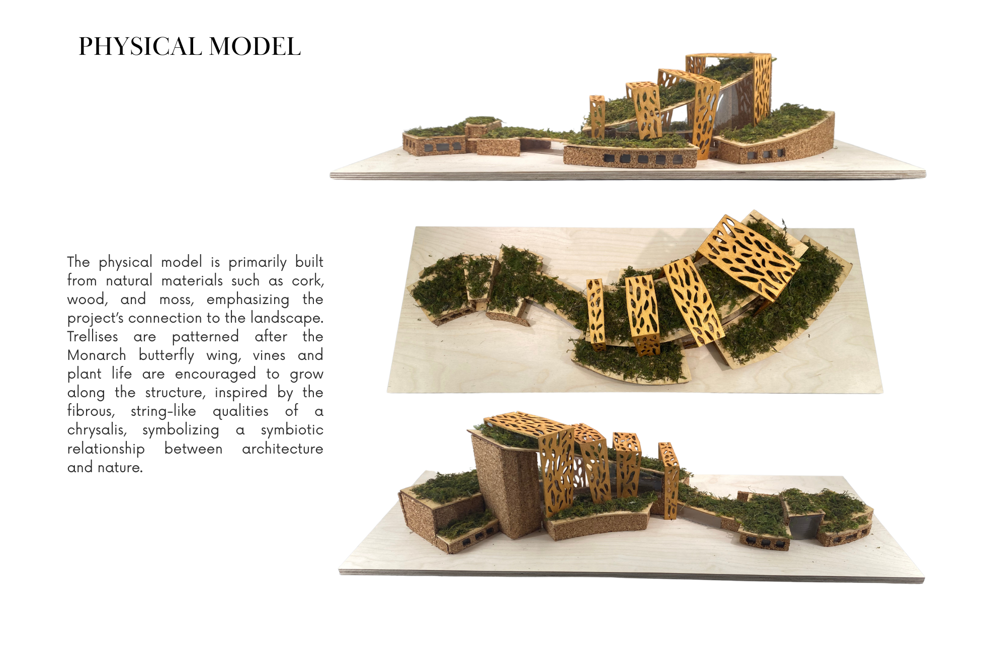 Metamorphosis of Waste