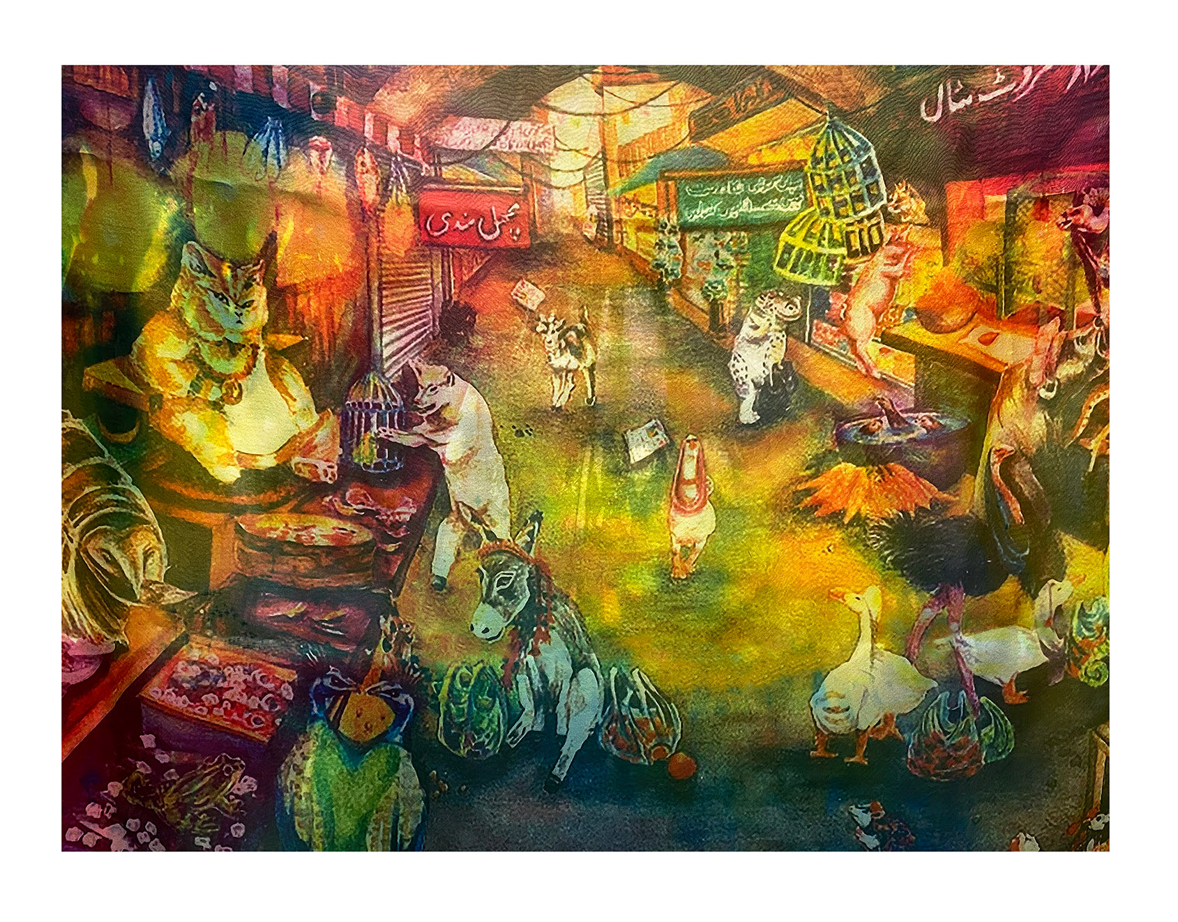 A Game of Cat and Fish