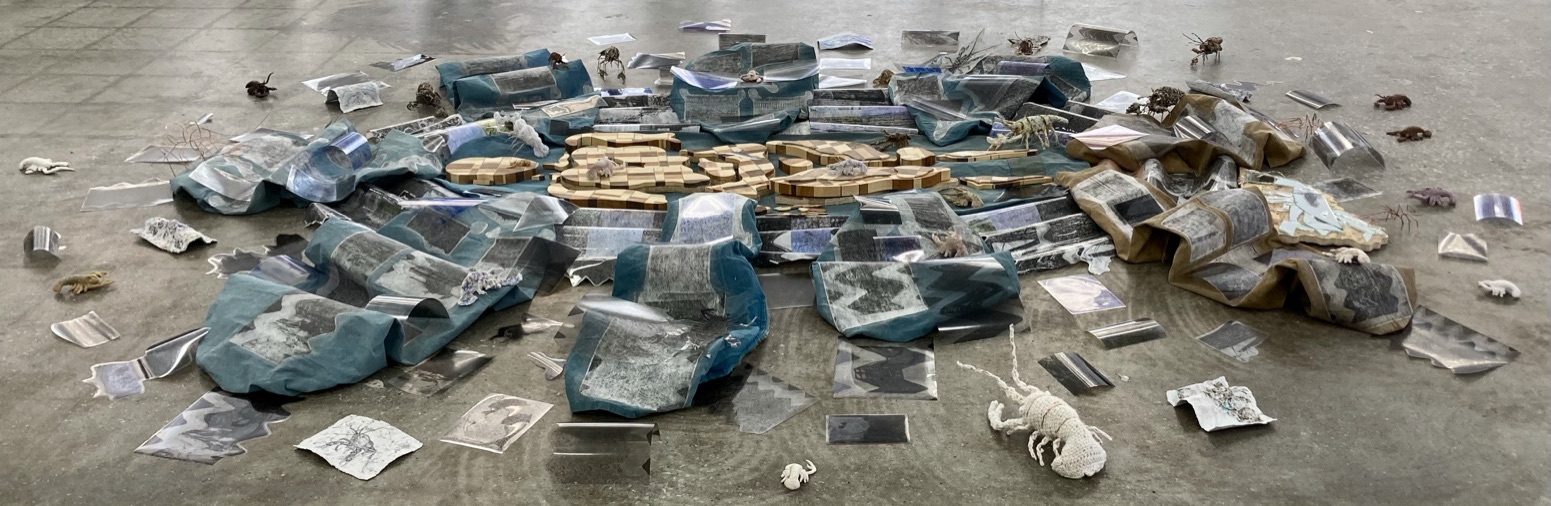 An Individual's Subjective Pathetic Fallacy