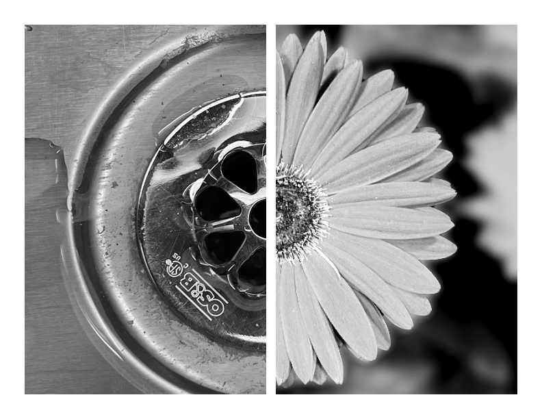 Explorations of Biomimicry and Relationally