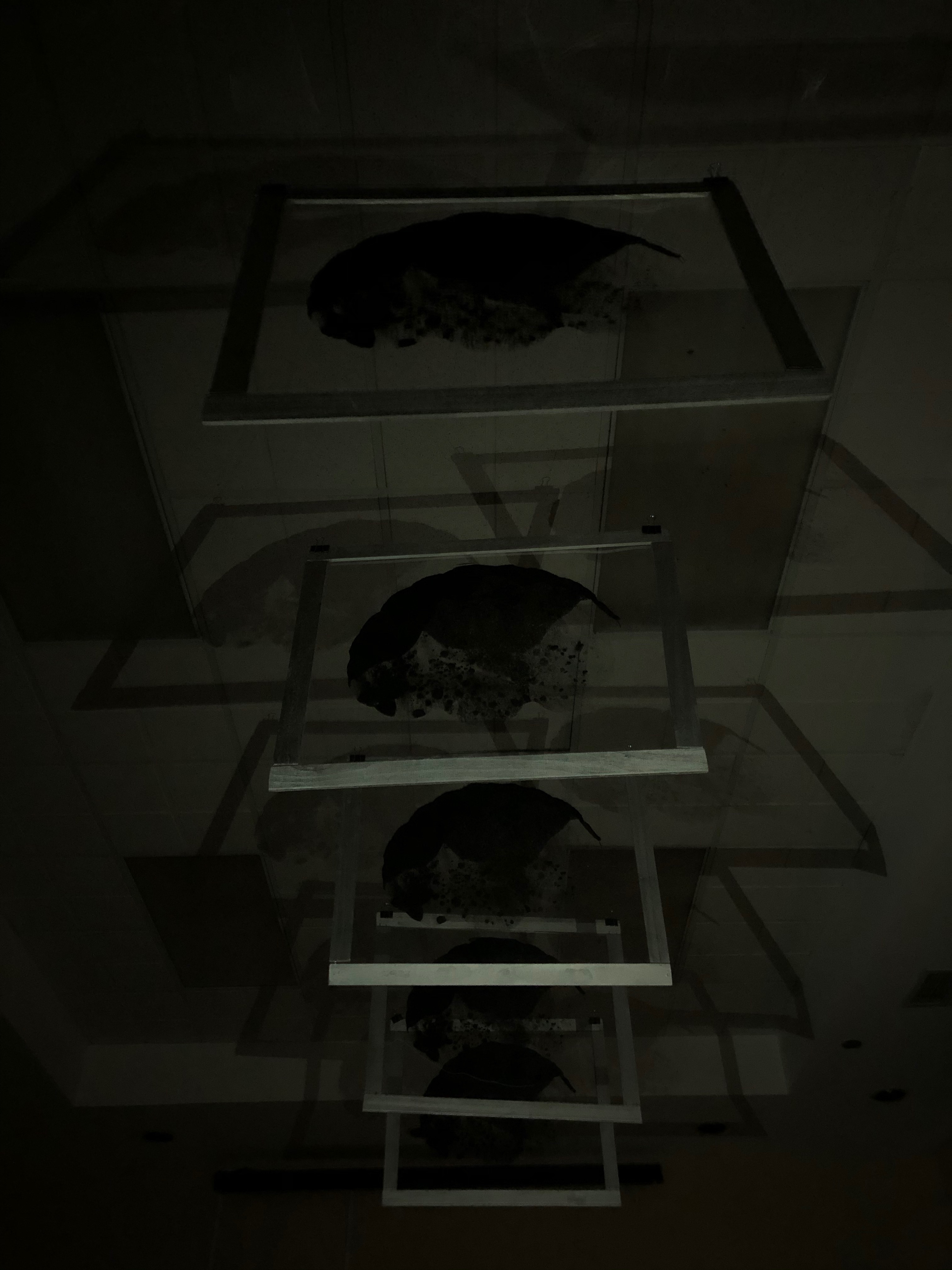 Memories don't Always Last a Lifetime