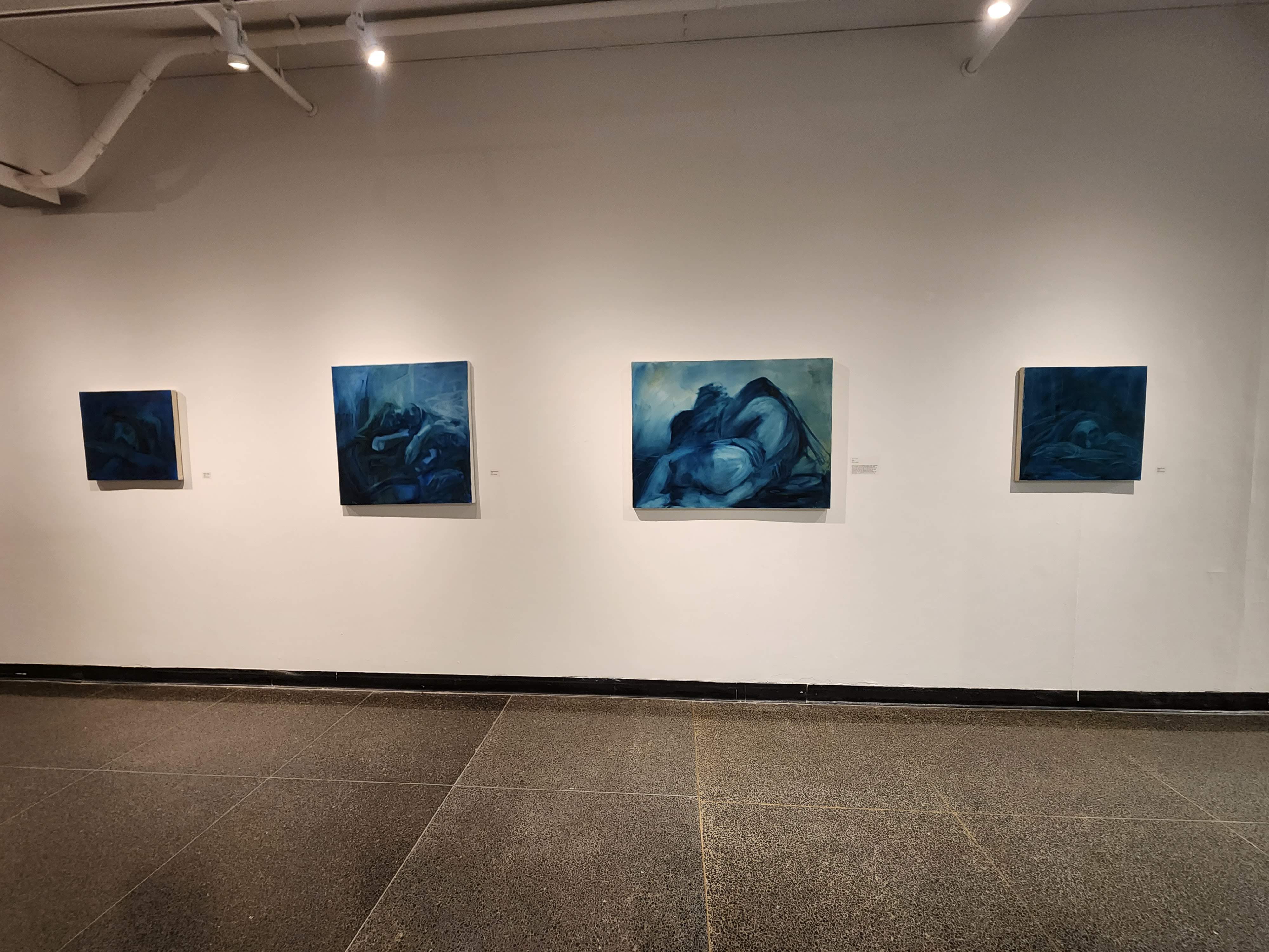 Anatomy of Blue Installation Shot