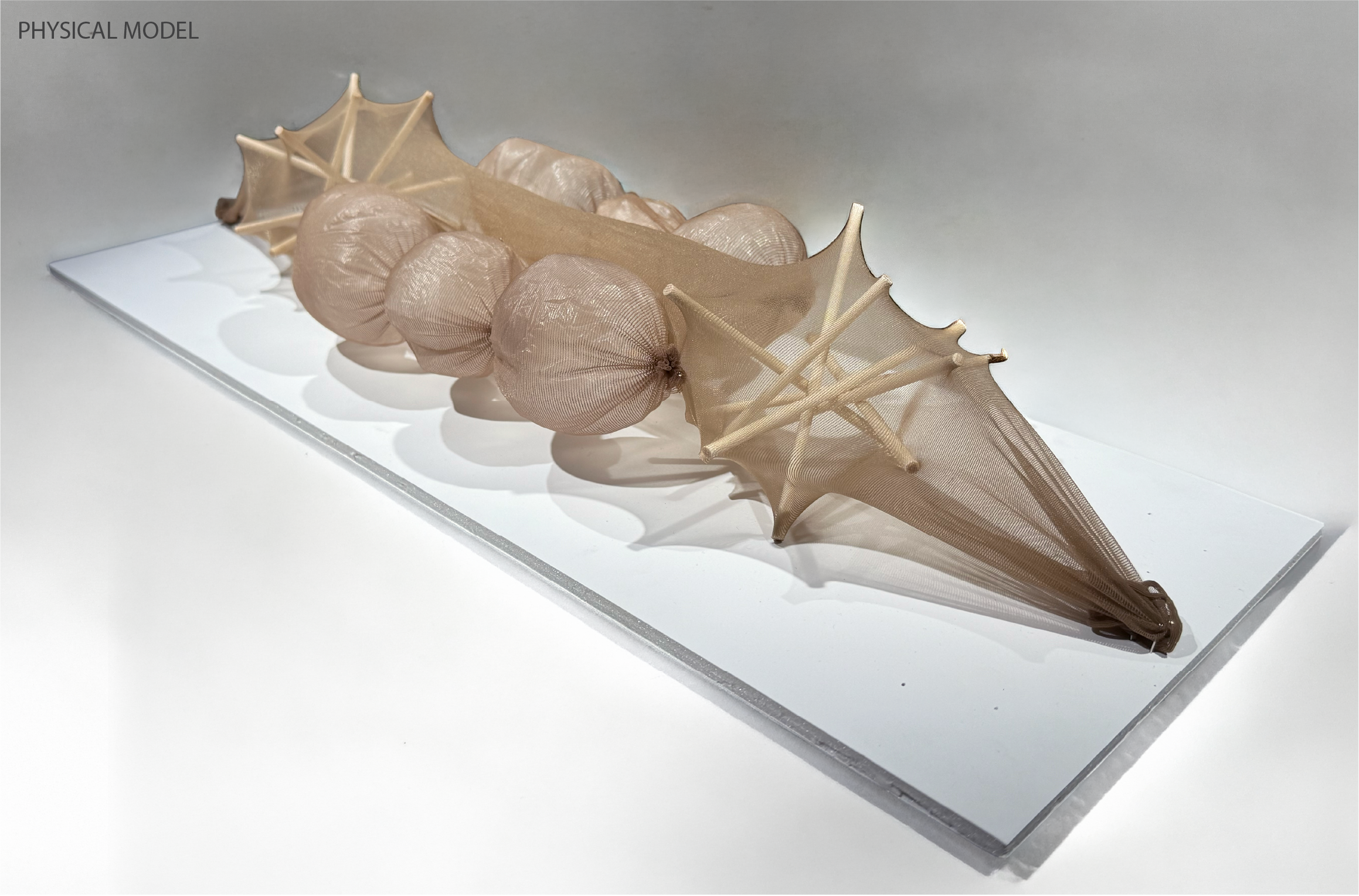 Physical Model