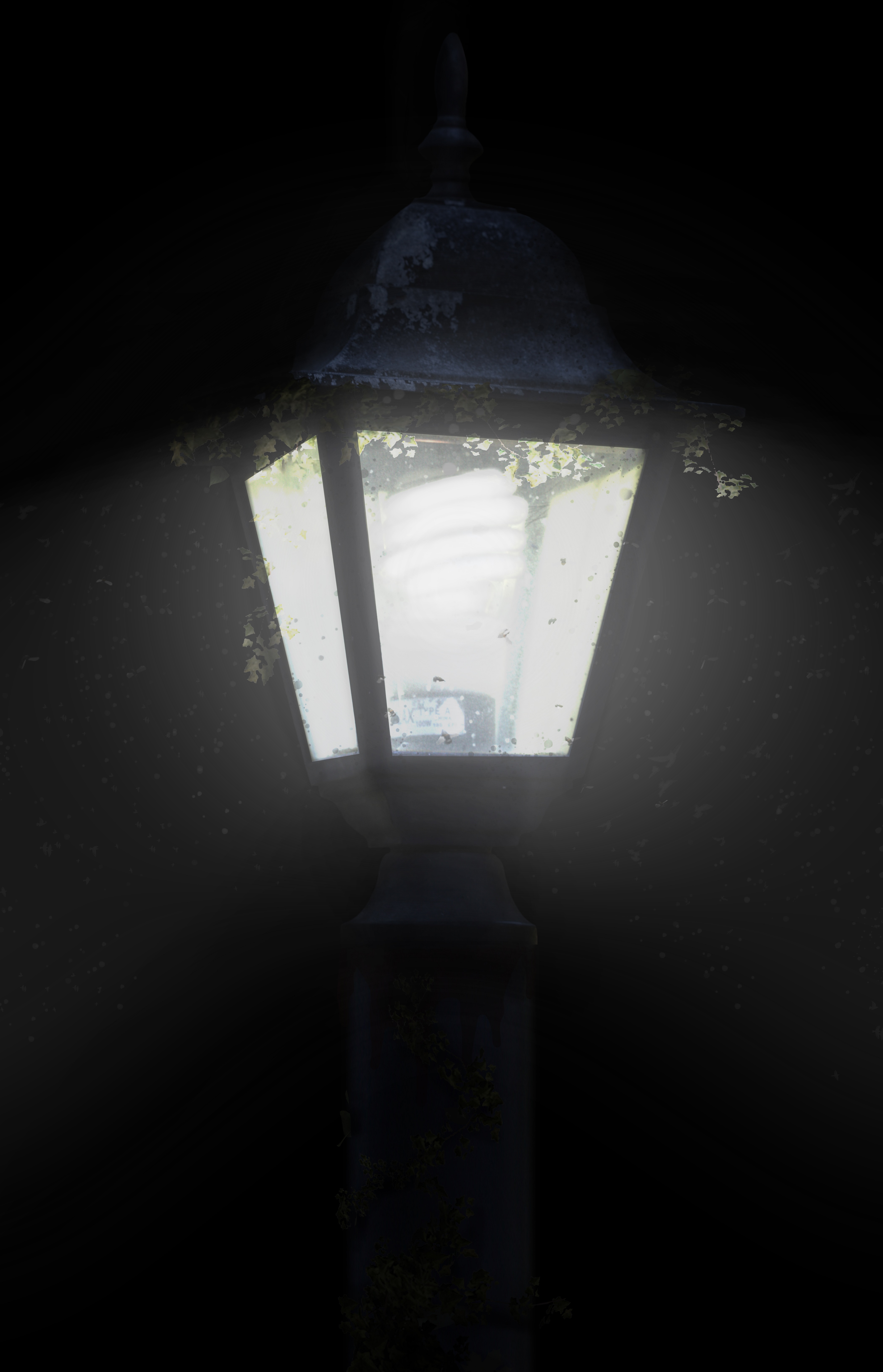 A Valuable Possession