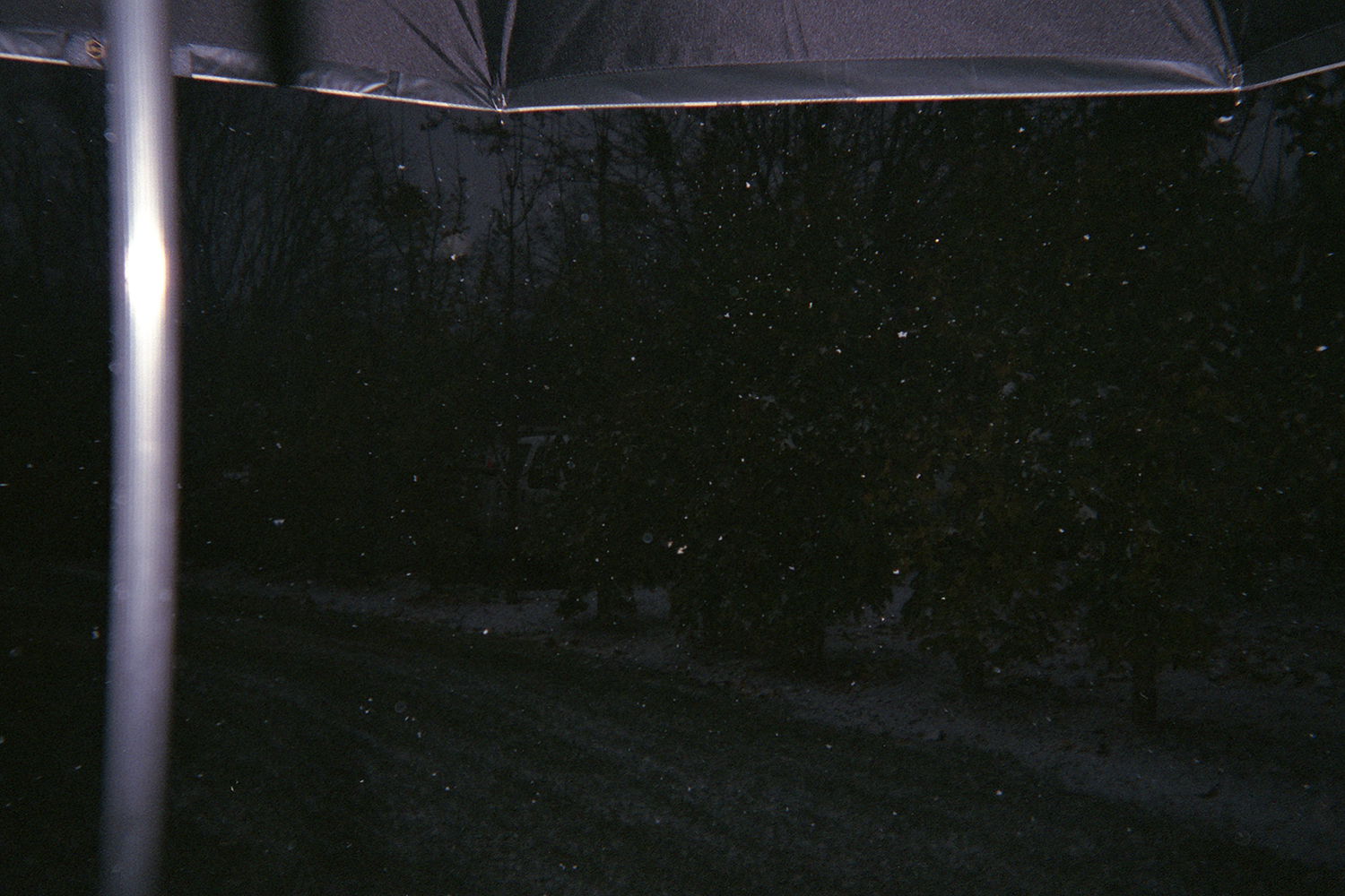 It was winter, but we didn’t feel cold at all